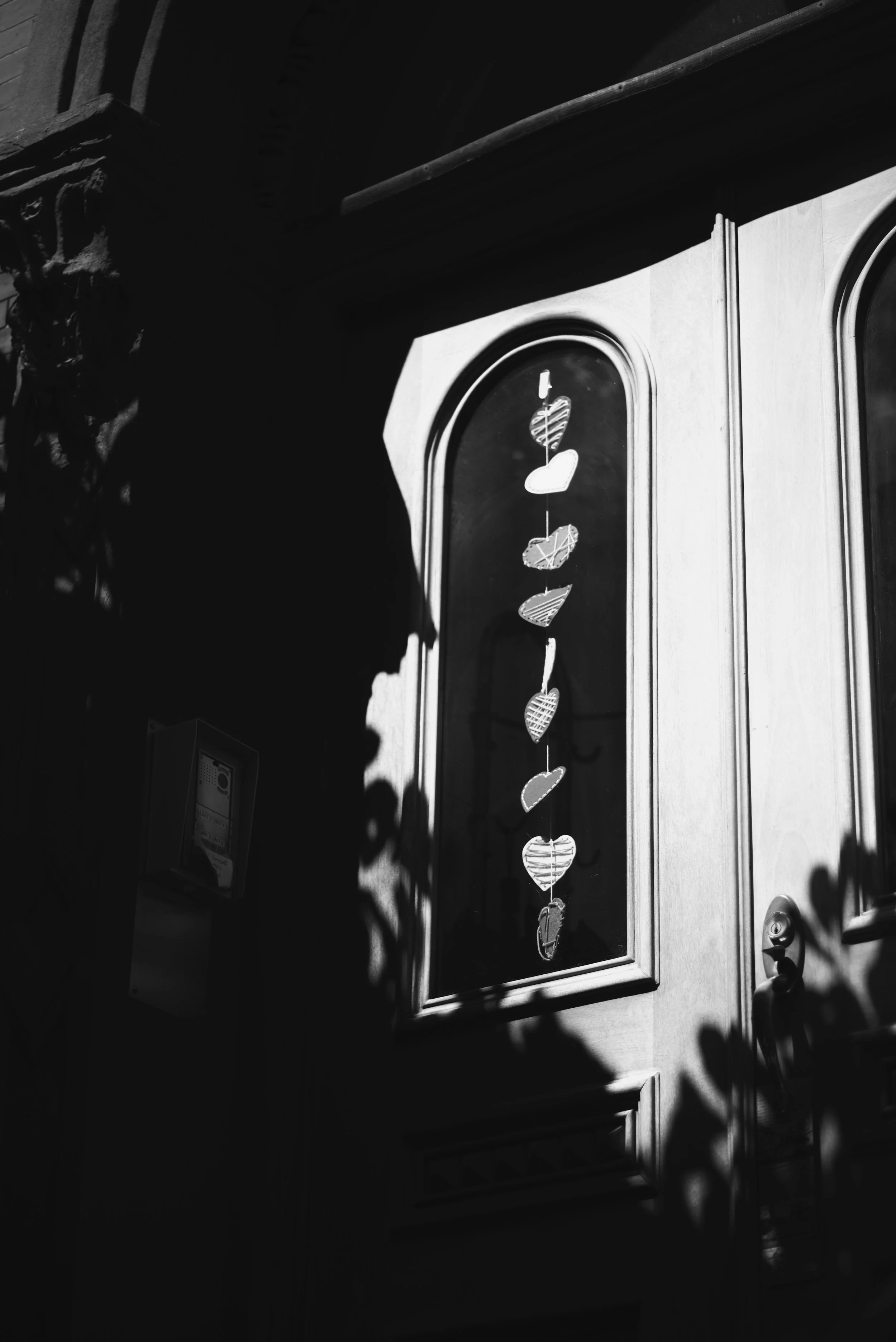 DSC_6670.jpeg