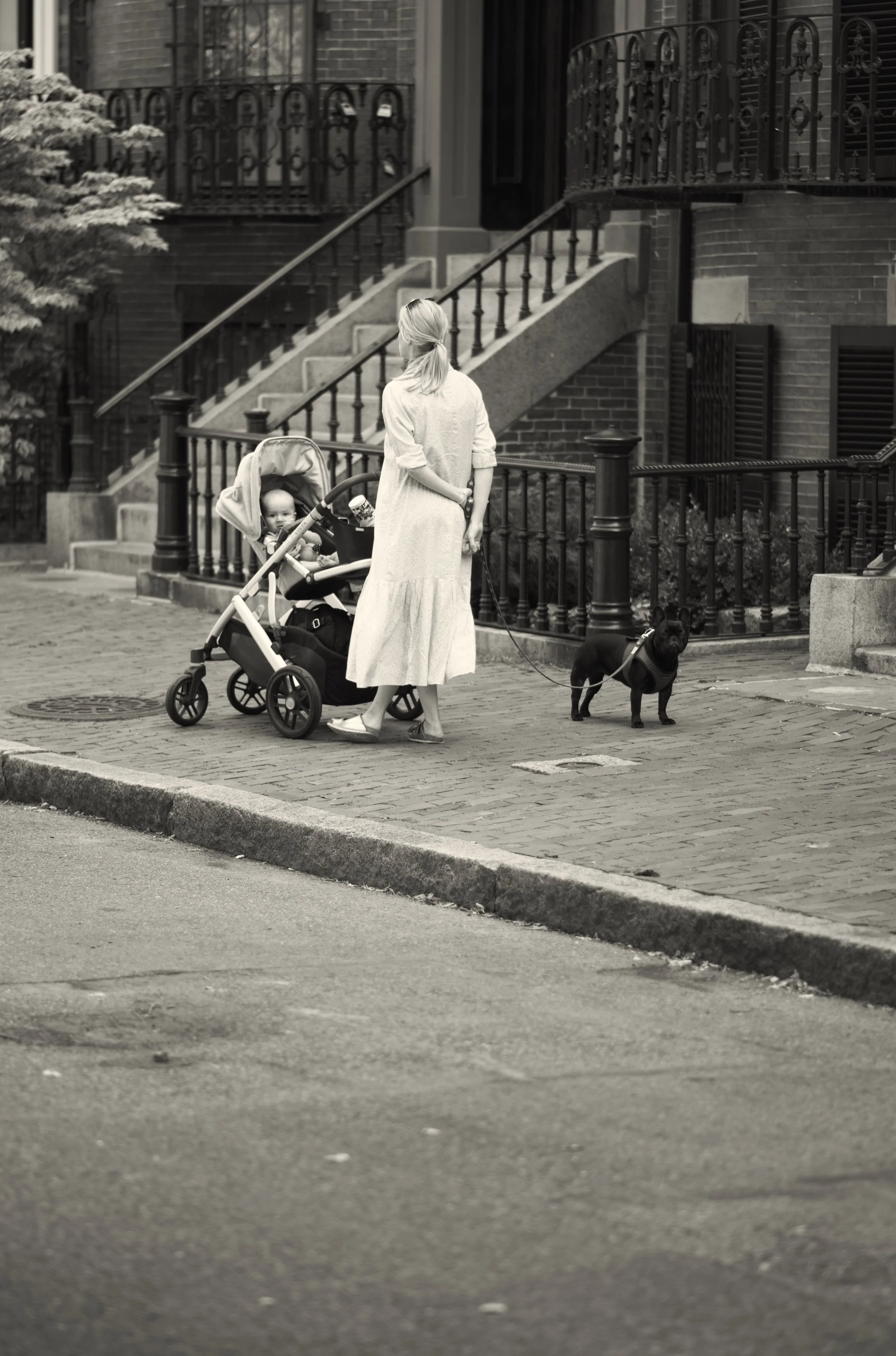 DSC_6701.jpeg