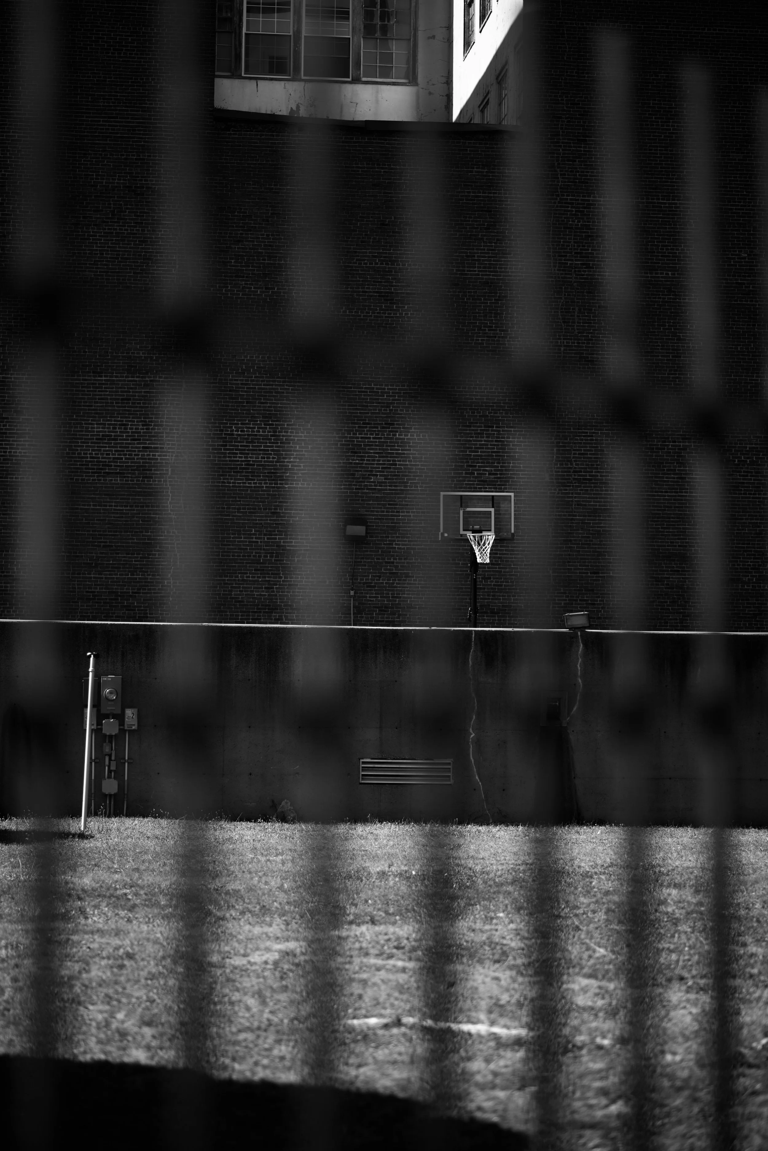 DSC_6768.jpeg
