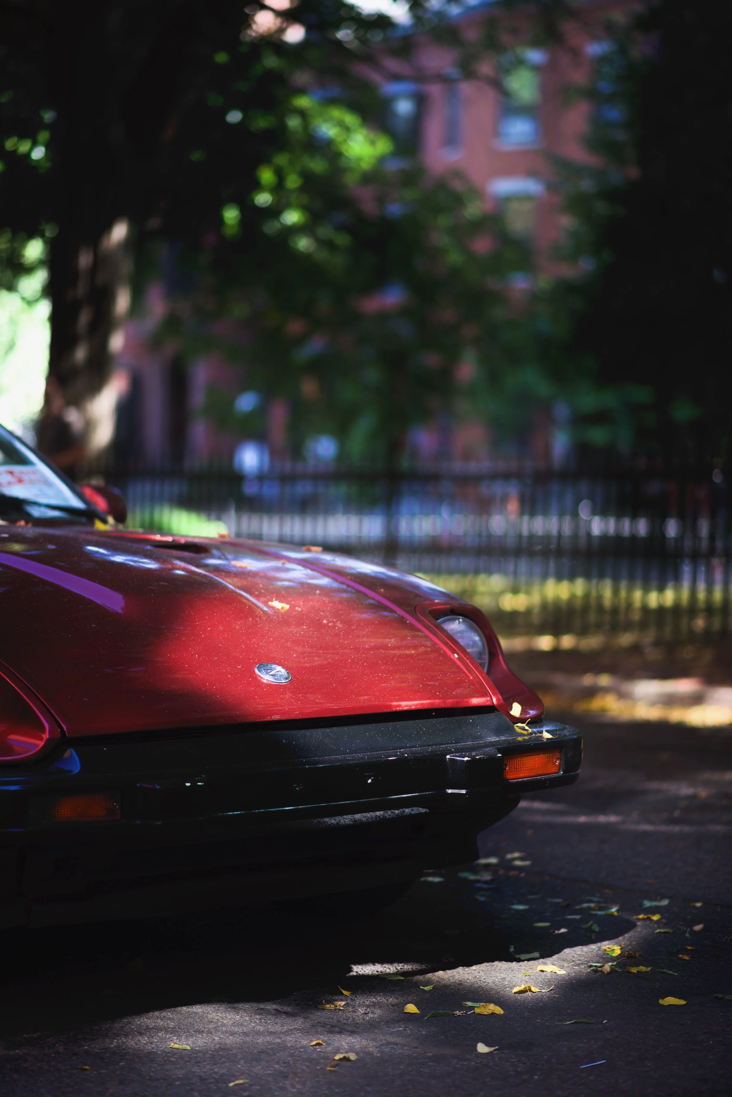 DSC_6905.jpeg