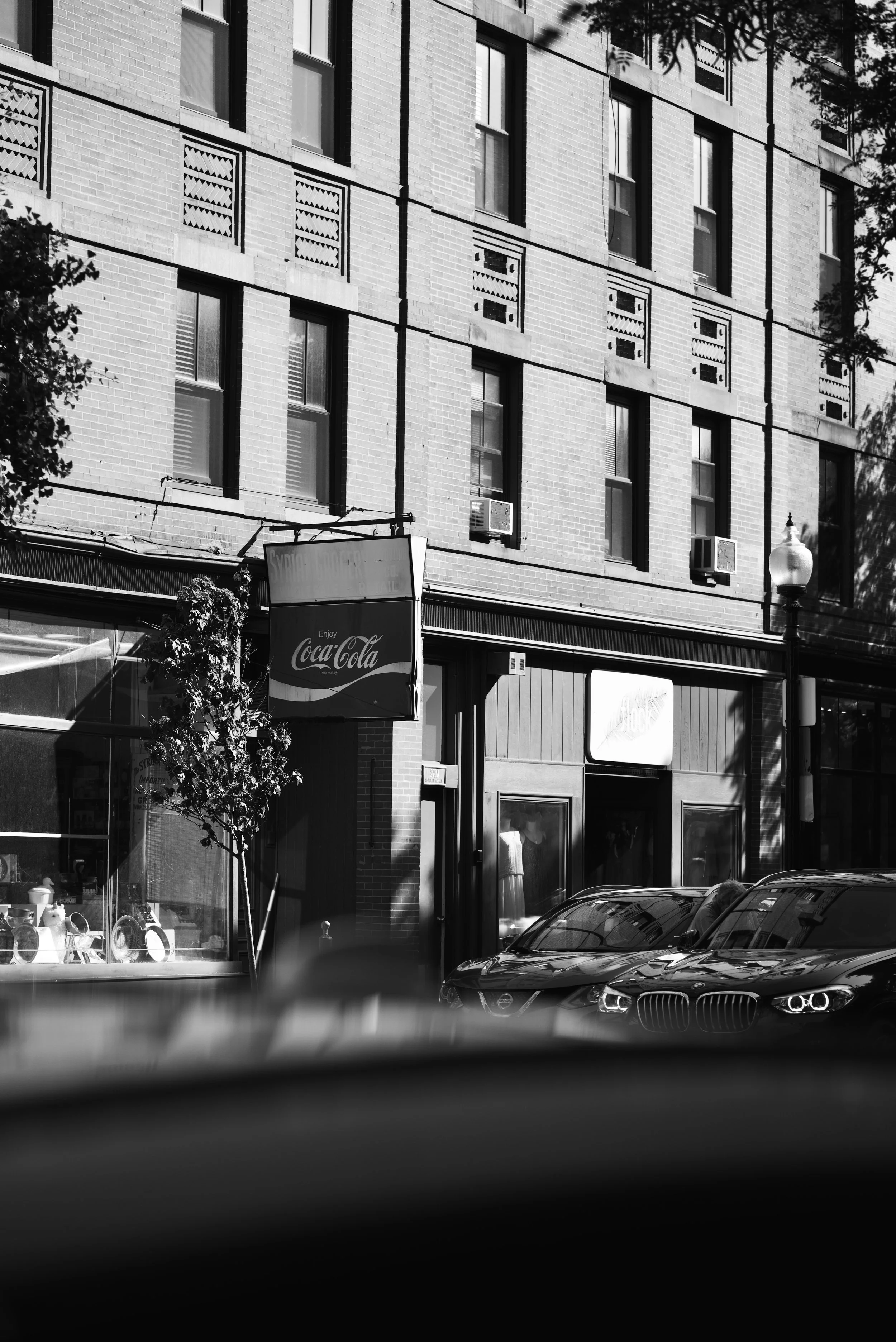 DSC_6956.jpeg