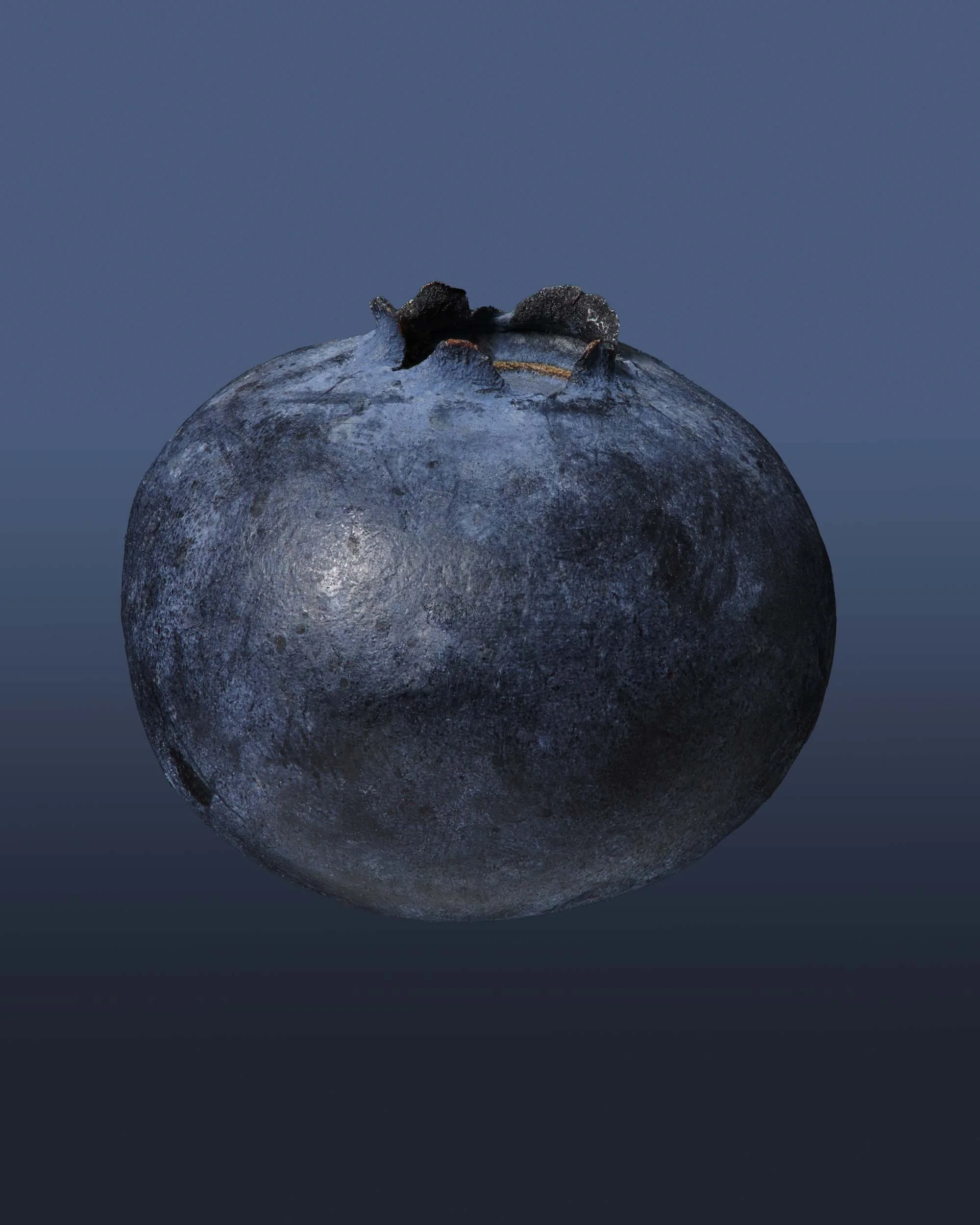 Blueberry_Tomatillo_2020-07-30 13-11-47 (B,Radius8,Smoothing4) (2).jpg