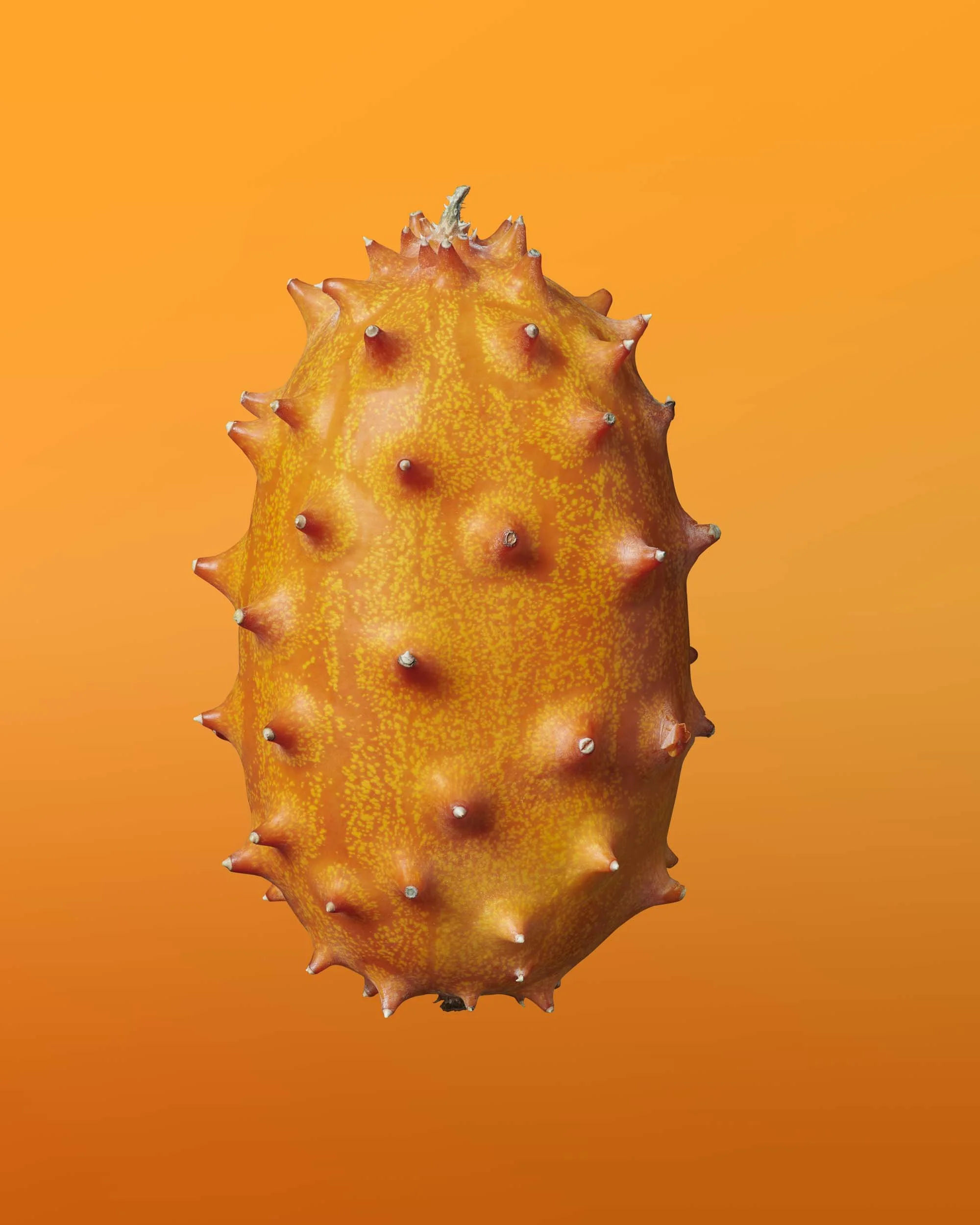 Horned_MellonTomatillo_2020-07-30 13-11-47 (B,Radius8,Smoothing4) (3).jpg