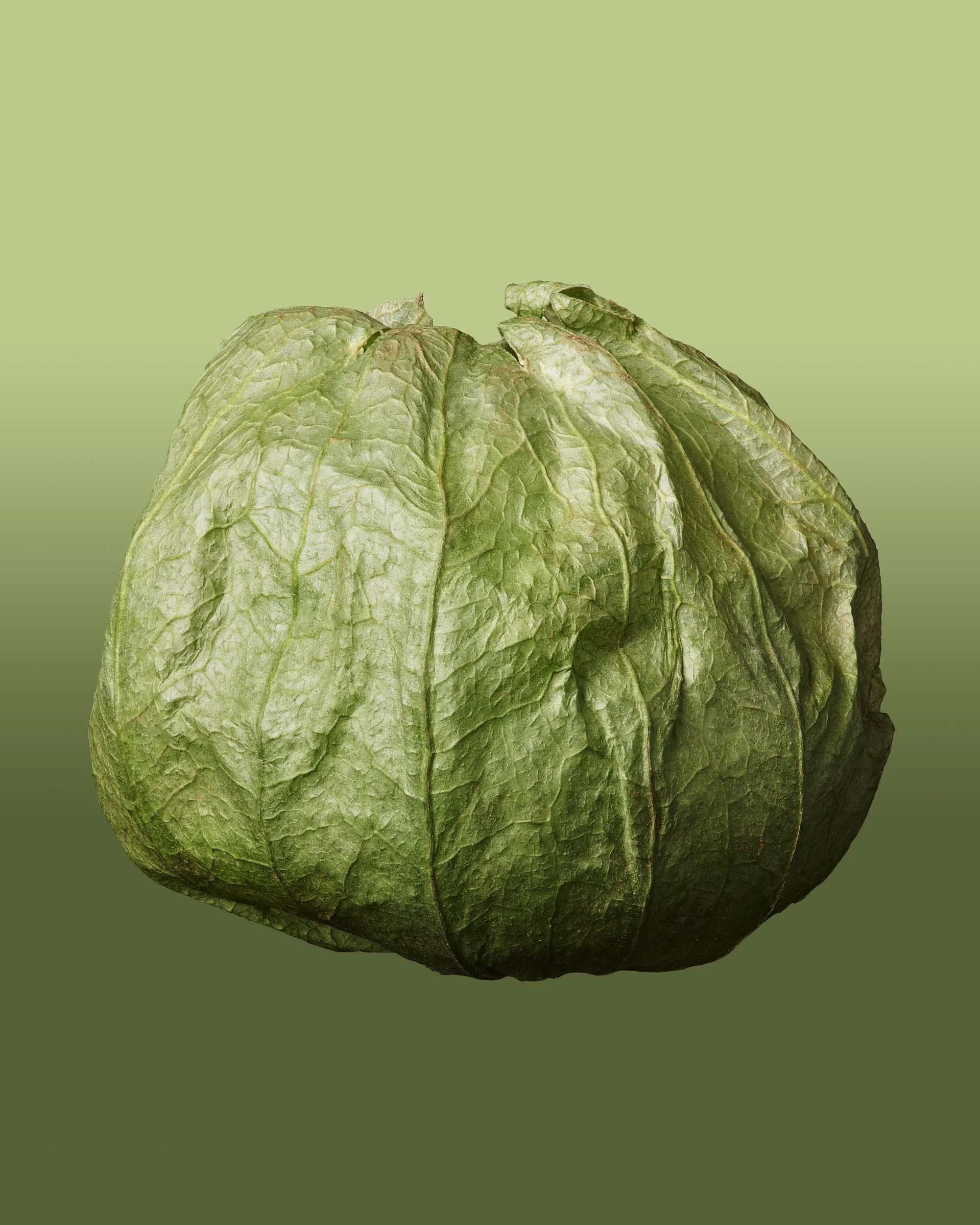 Tomatillo_2020-07-30 13-11-47 (B,Radius8,Smoothing4) (7).jpg