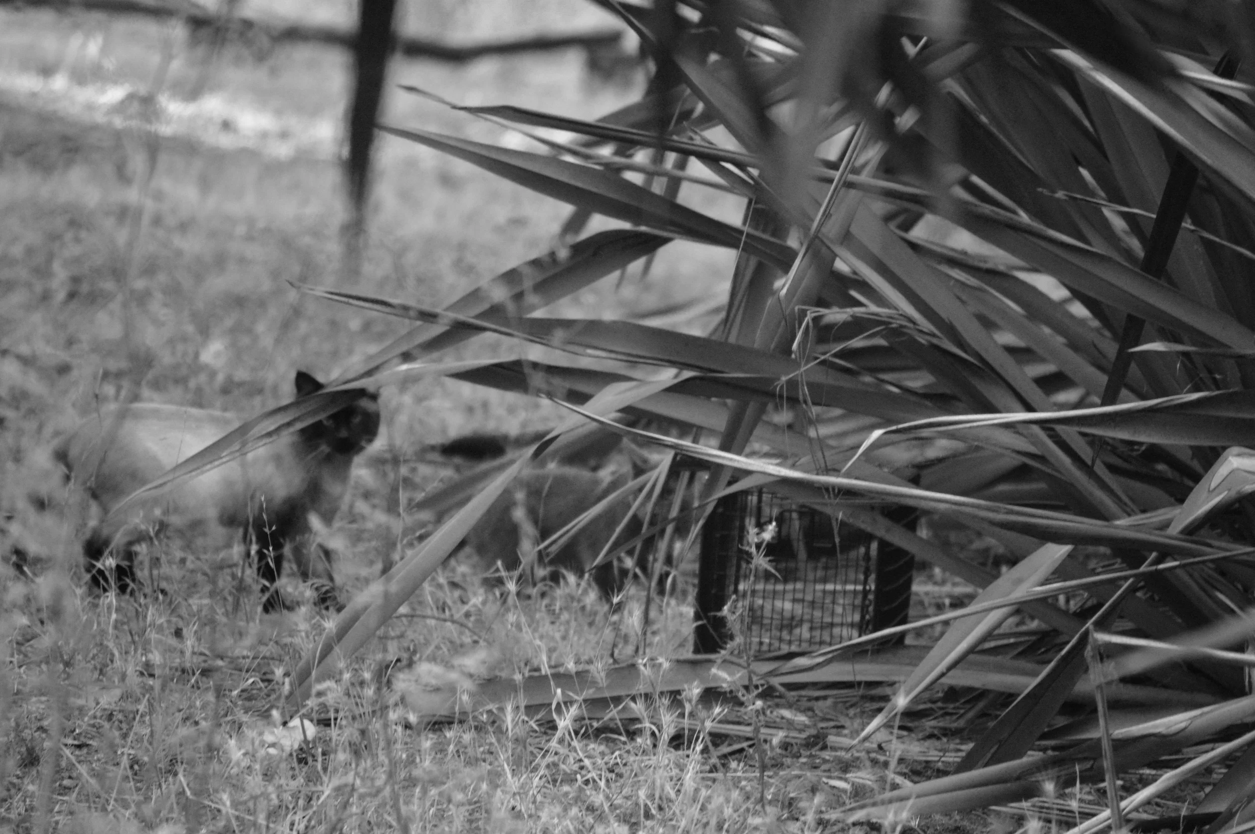 DSC_0627.jpg