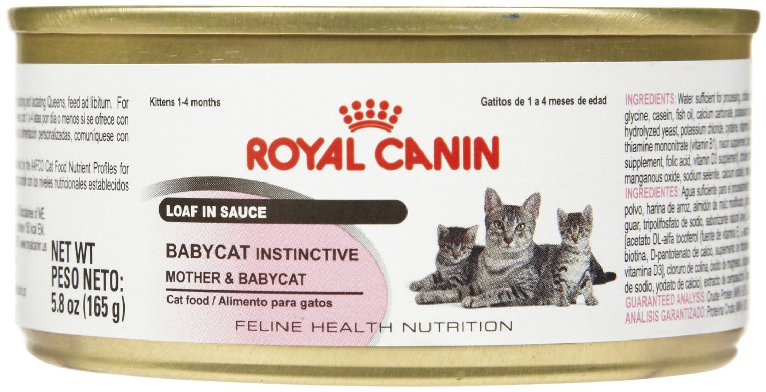 Royal Canin Babycat Loaf in Sauce