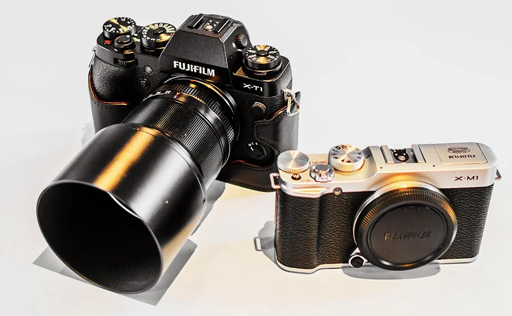 Fuji X-T1 and 60mm macro lens and Fuji X-M1