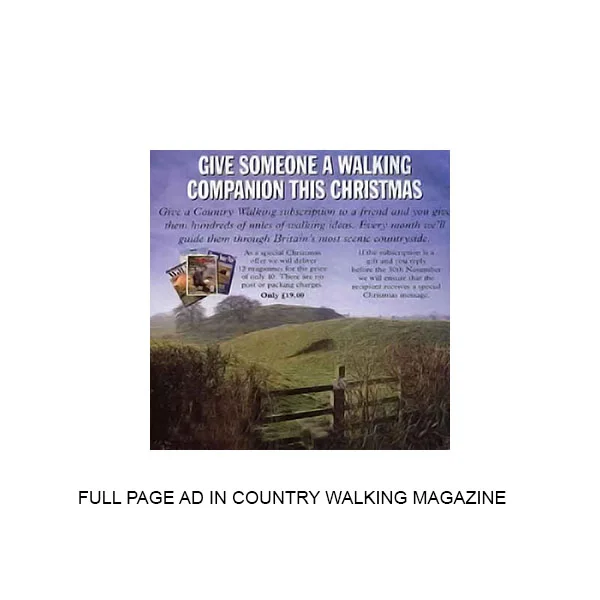 advertising-005.jpg