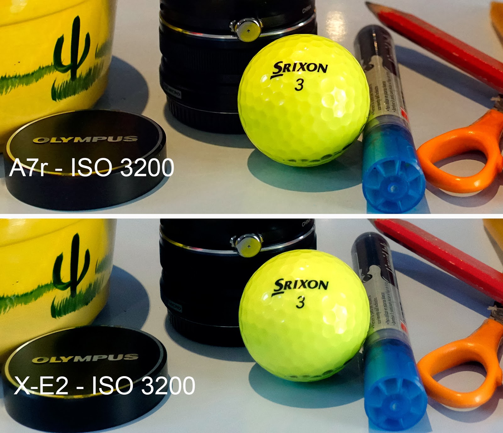 3200.jpg