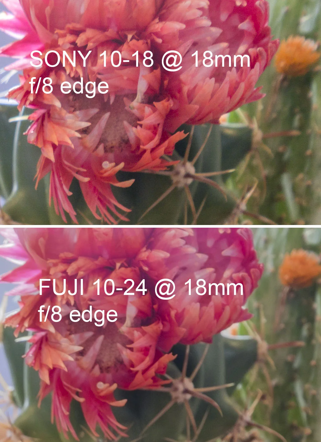 Fuji Fujinon XF 10-24mm f/4 R OIS Lens Sony E10-18mm f4 OSS Lens