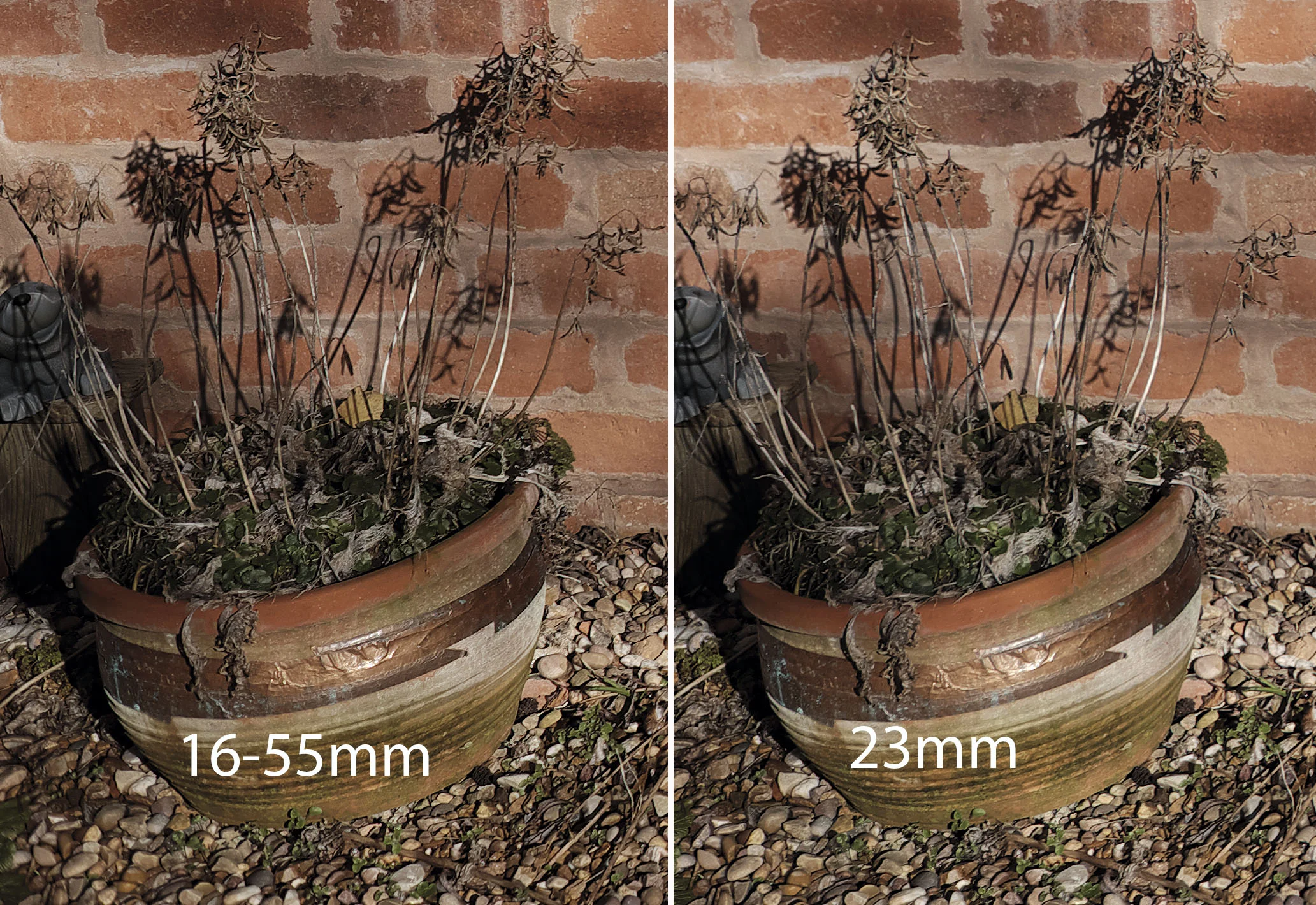 Images shot raw and processed via Raw Converter version 2 - default settings.