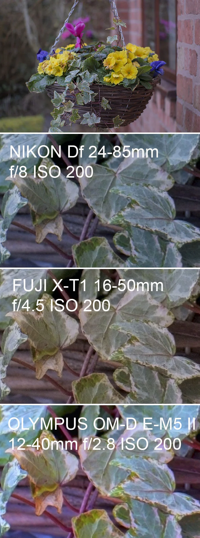 All images shot at telephoto end of zoom - OOC jpg. 'Standard' setting