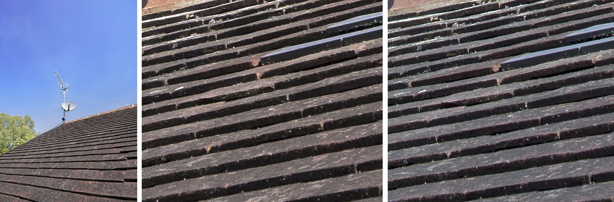 The Nikon image is on the left.