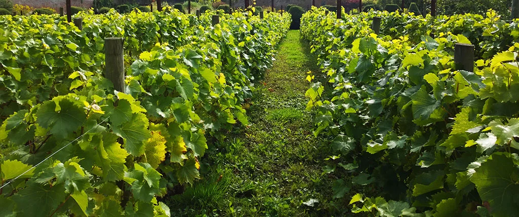 Nokia Lumia 1020