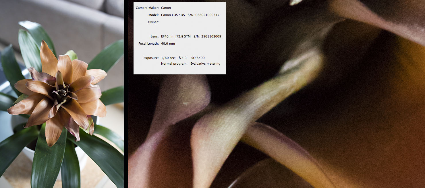 ISO 6400 from RAW
