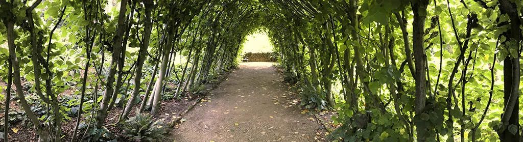 hidcote-6.jpg
