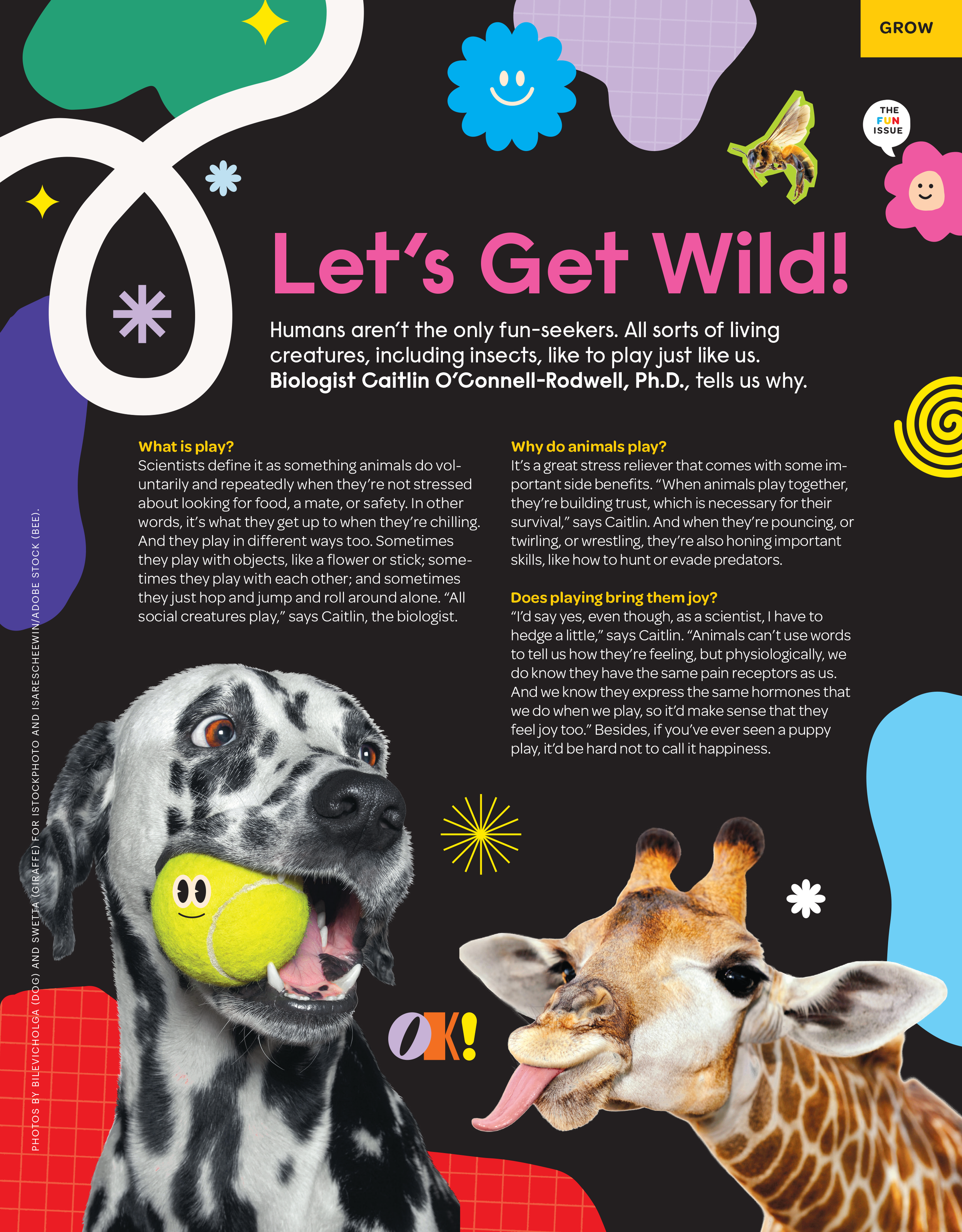 29_Kazoo_Fun_Final PDF_Spreads-12.png