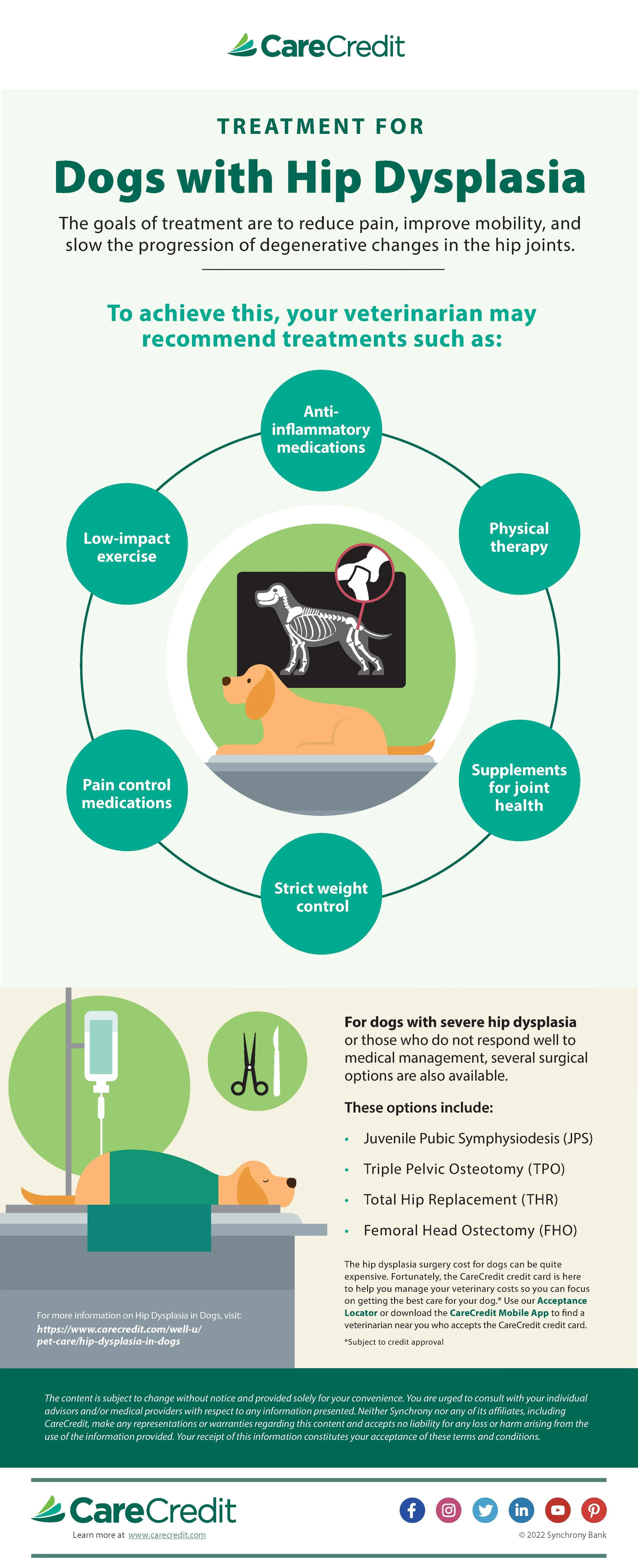 CareCredit-Dogs with Hip Dysplasia_FINAL.jpg