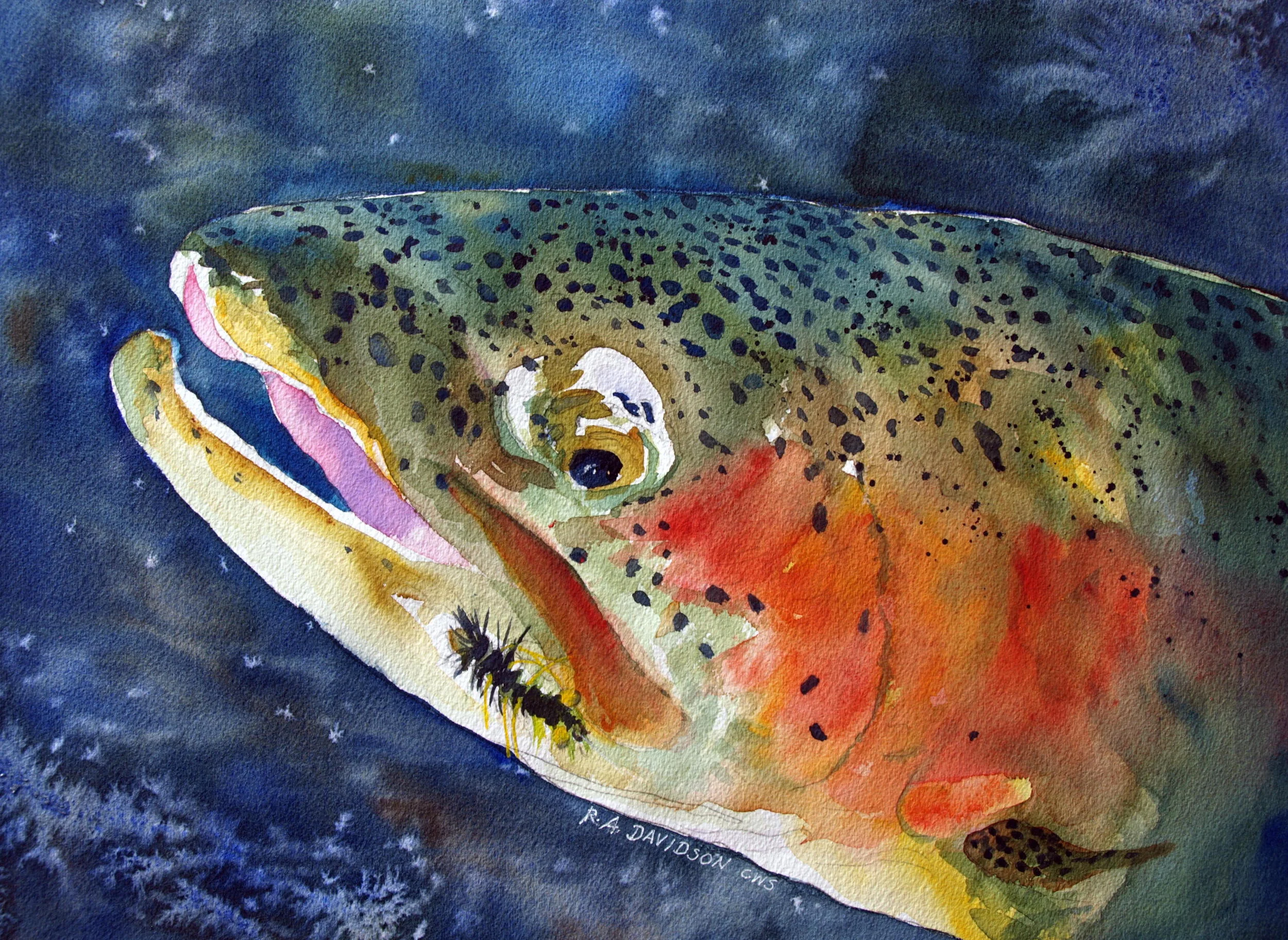 Rainbow on Wollybugger