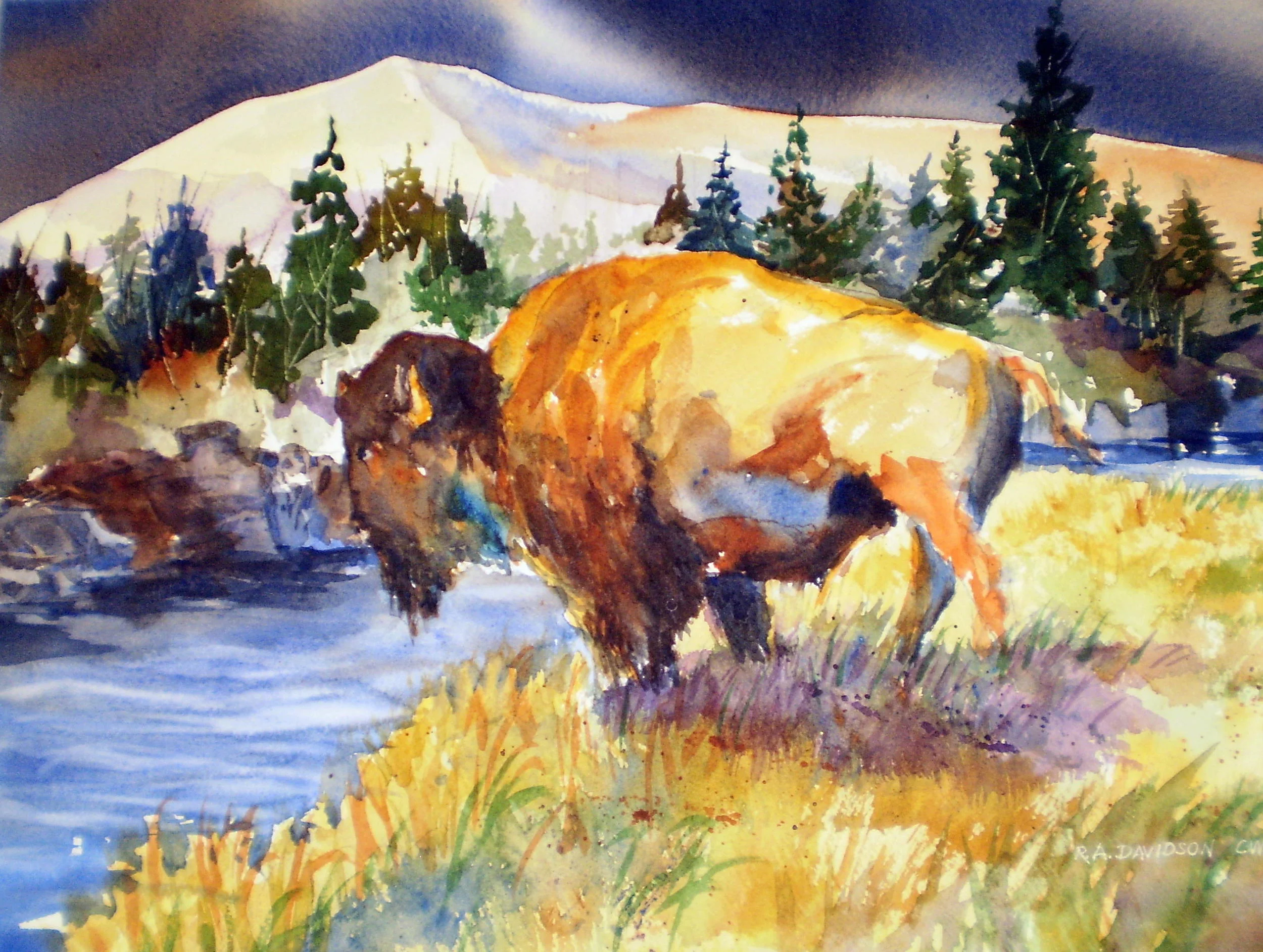 buffalo.jpg