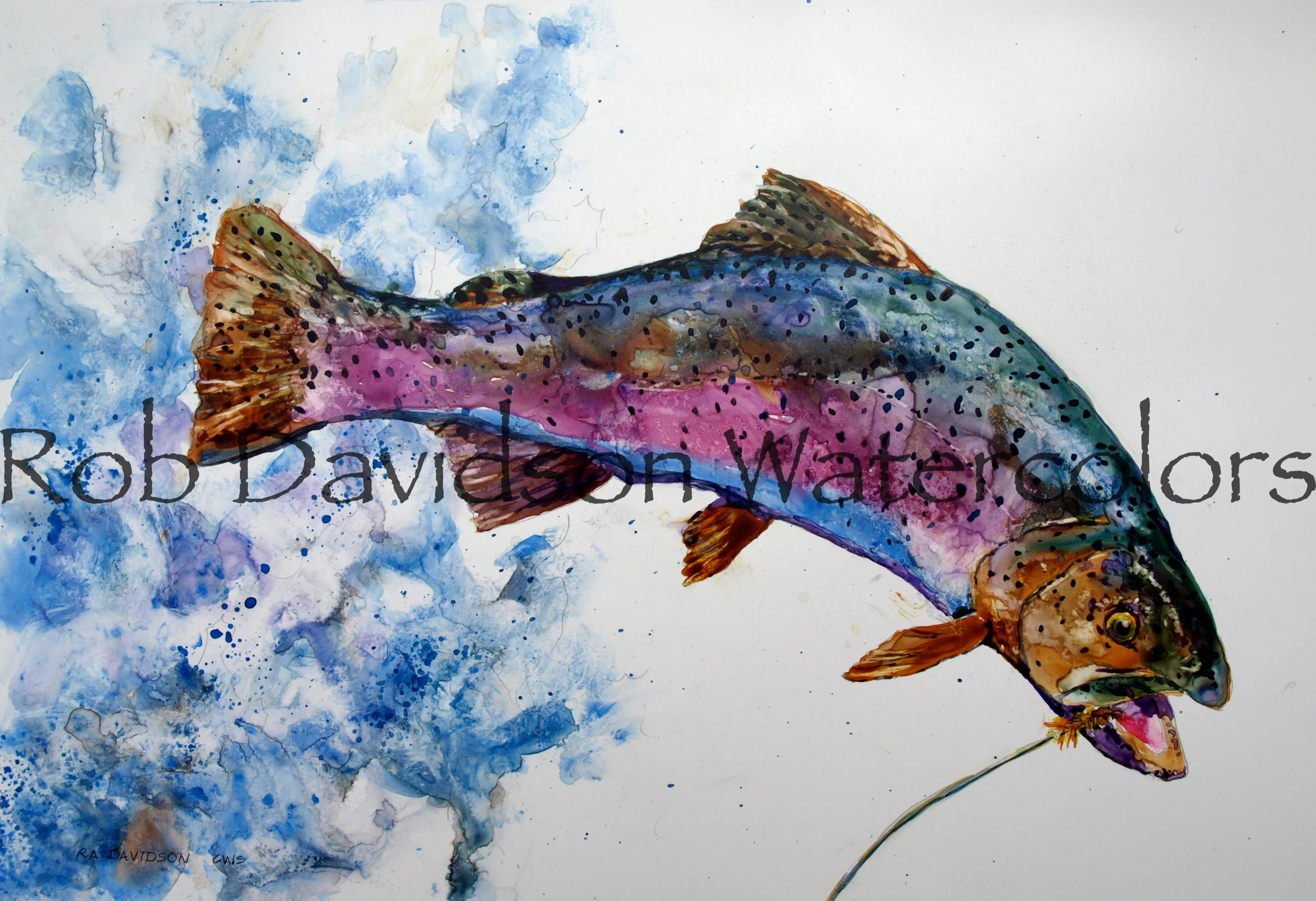 rainbow trout-WM.jpg