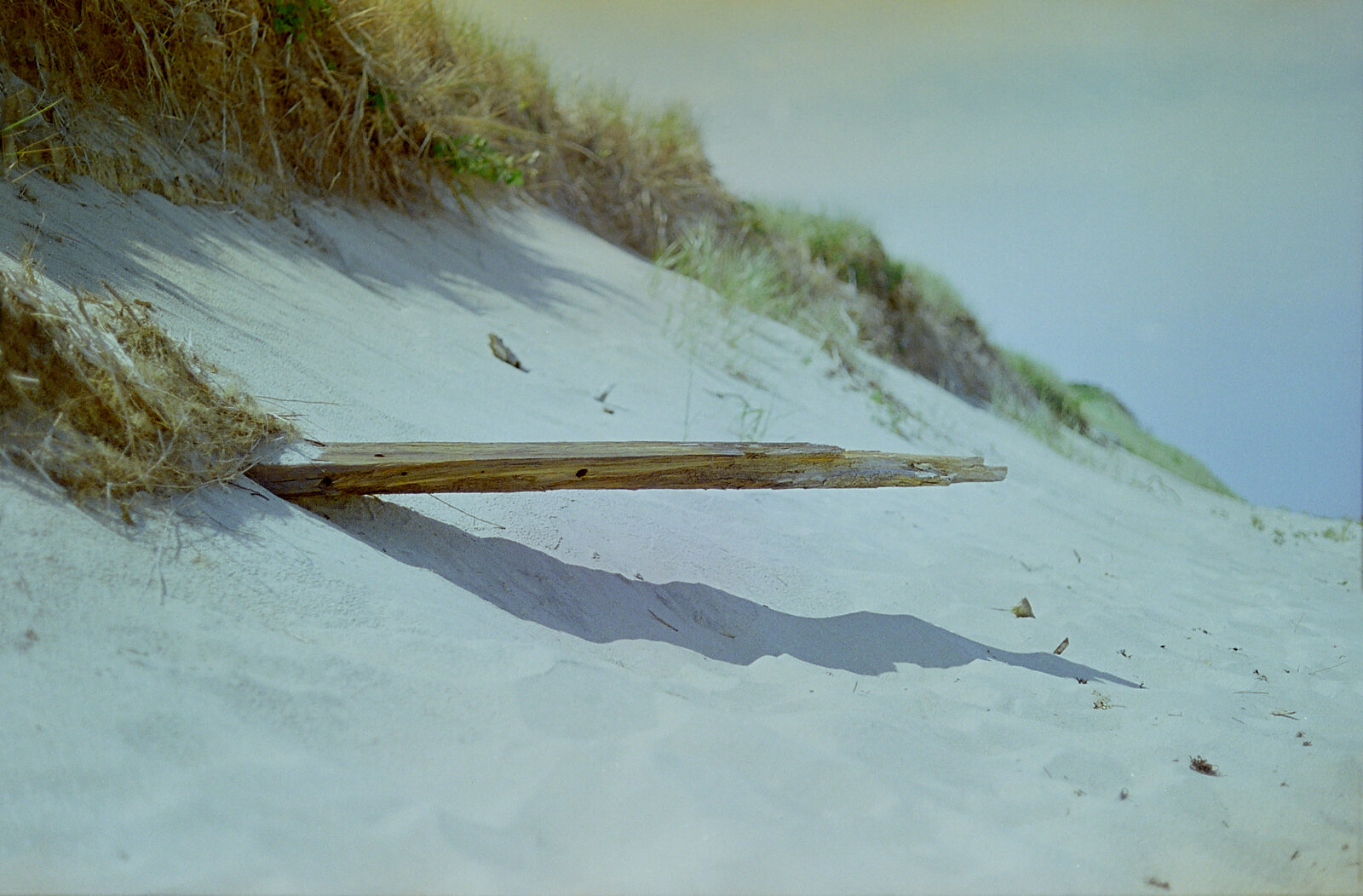 Cape Cod, Massachusetts. Summer 2018.