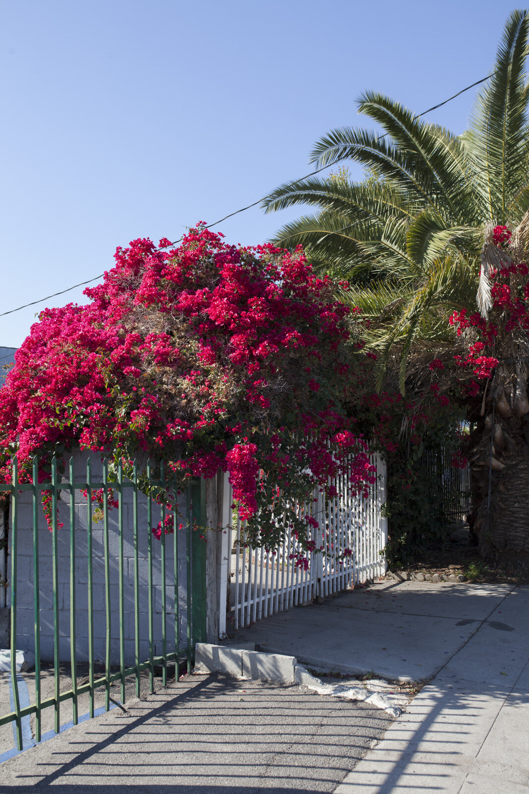 Los Angeles, California. February 2018.