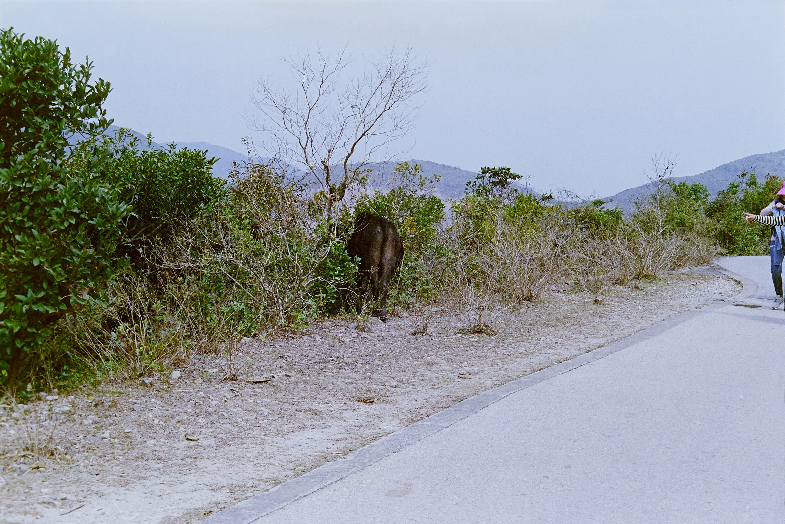 041720_35mmScans_773_web.jpg