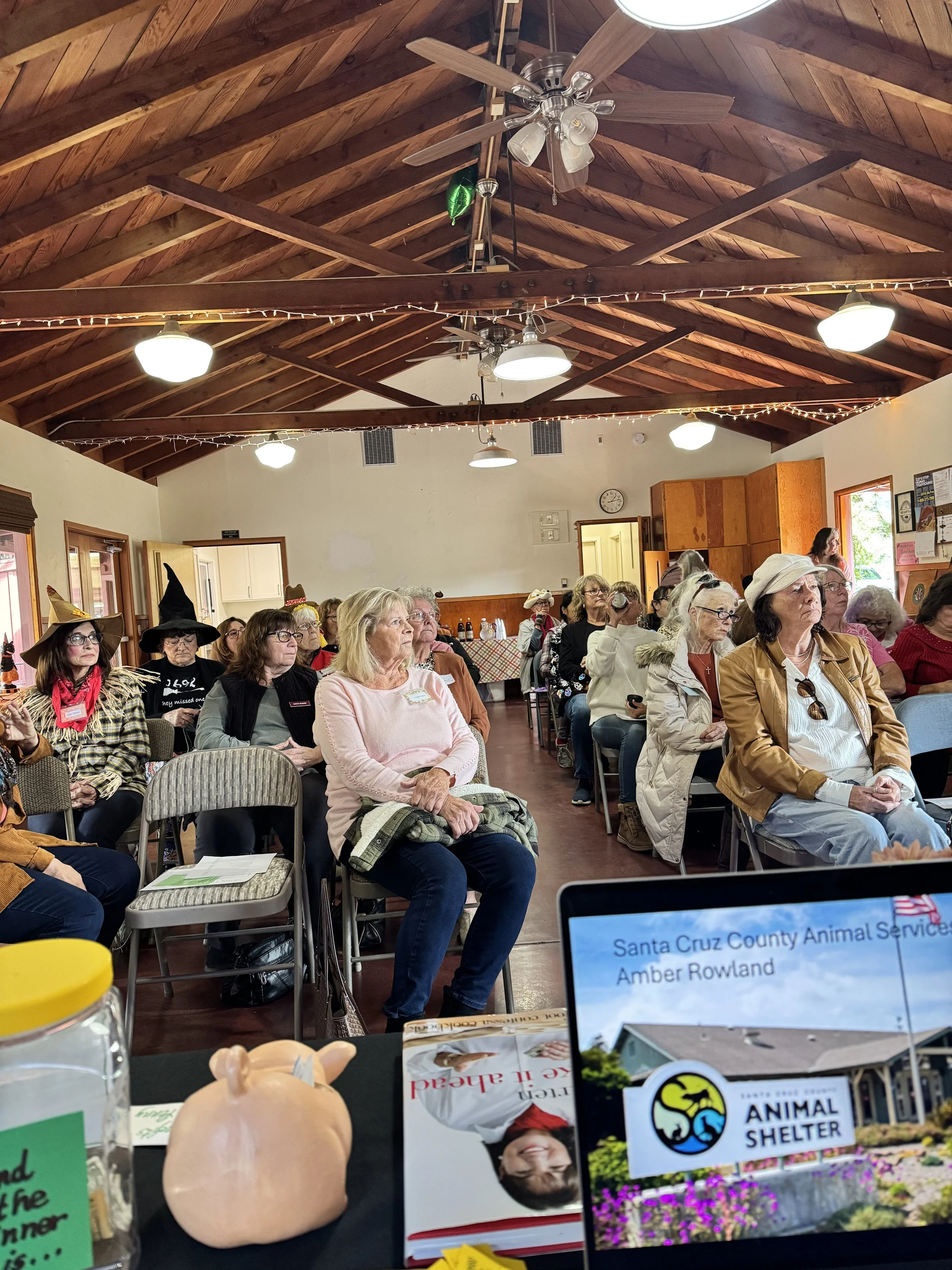 Listening to Guest Speaker