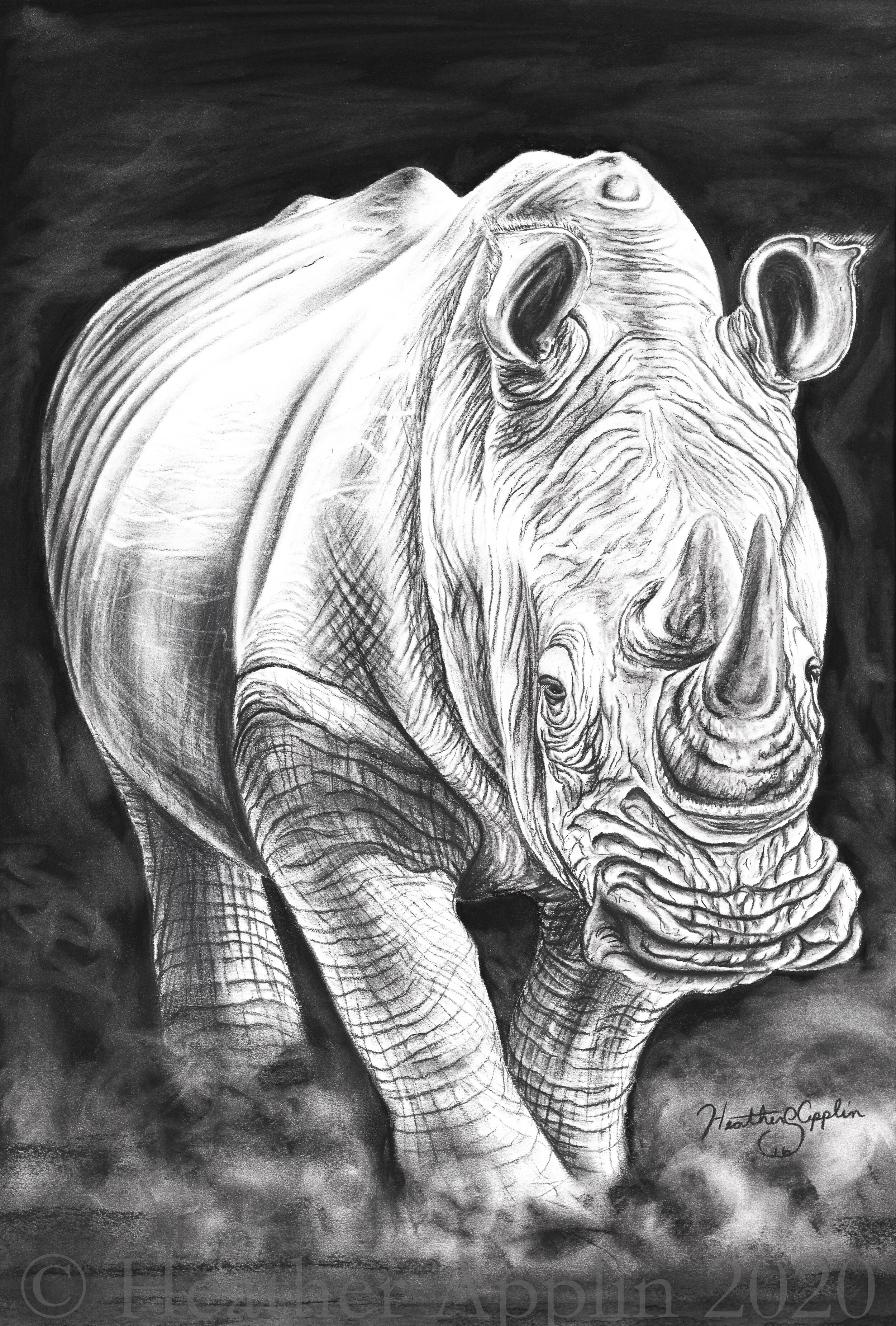 Rhino