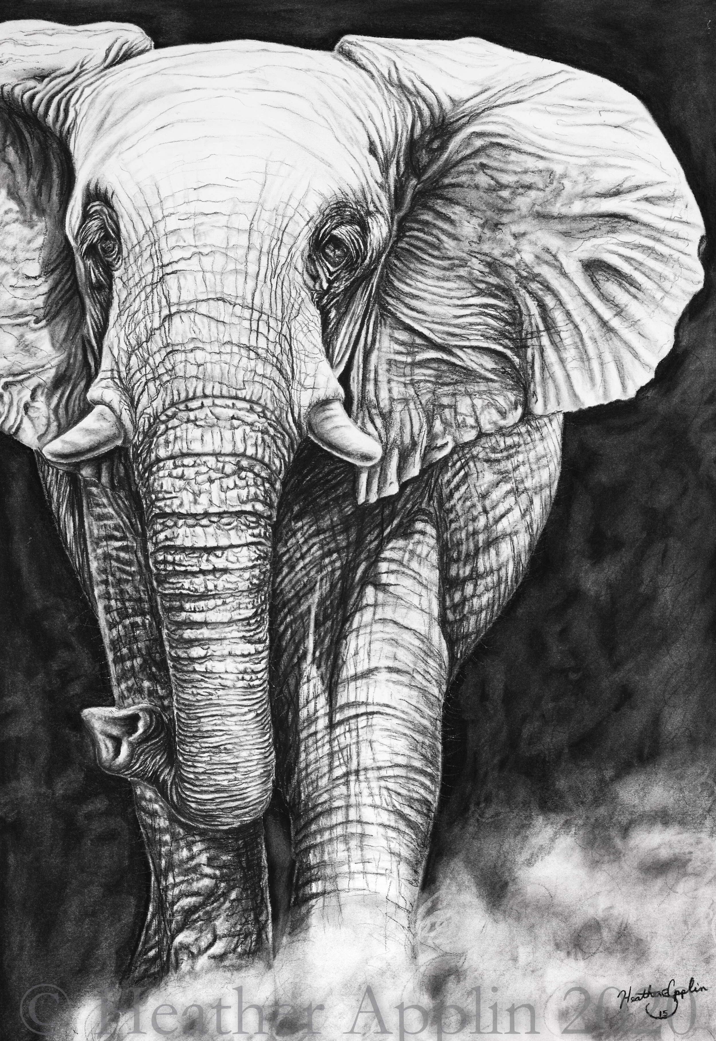 art prints watermarked-2-2.jpg