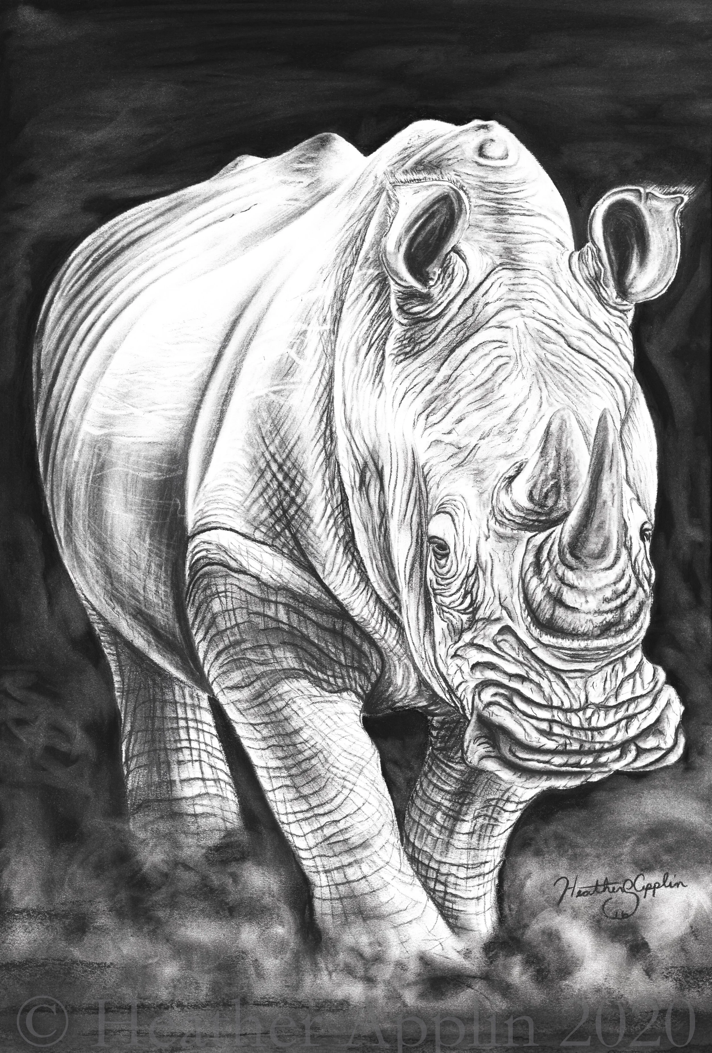 art prints watermarked-3-3.jpg