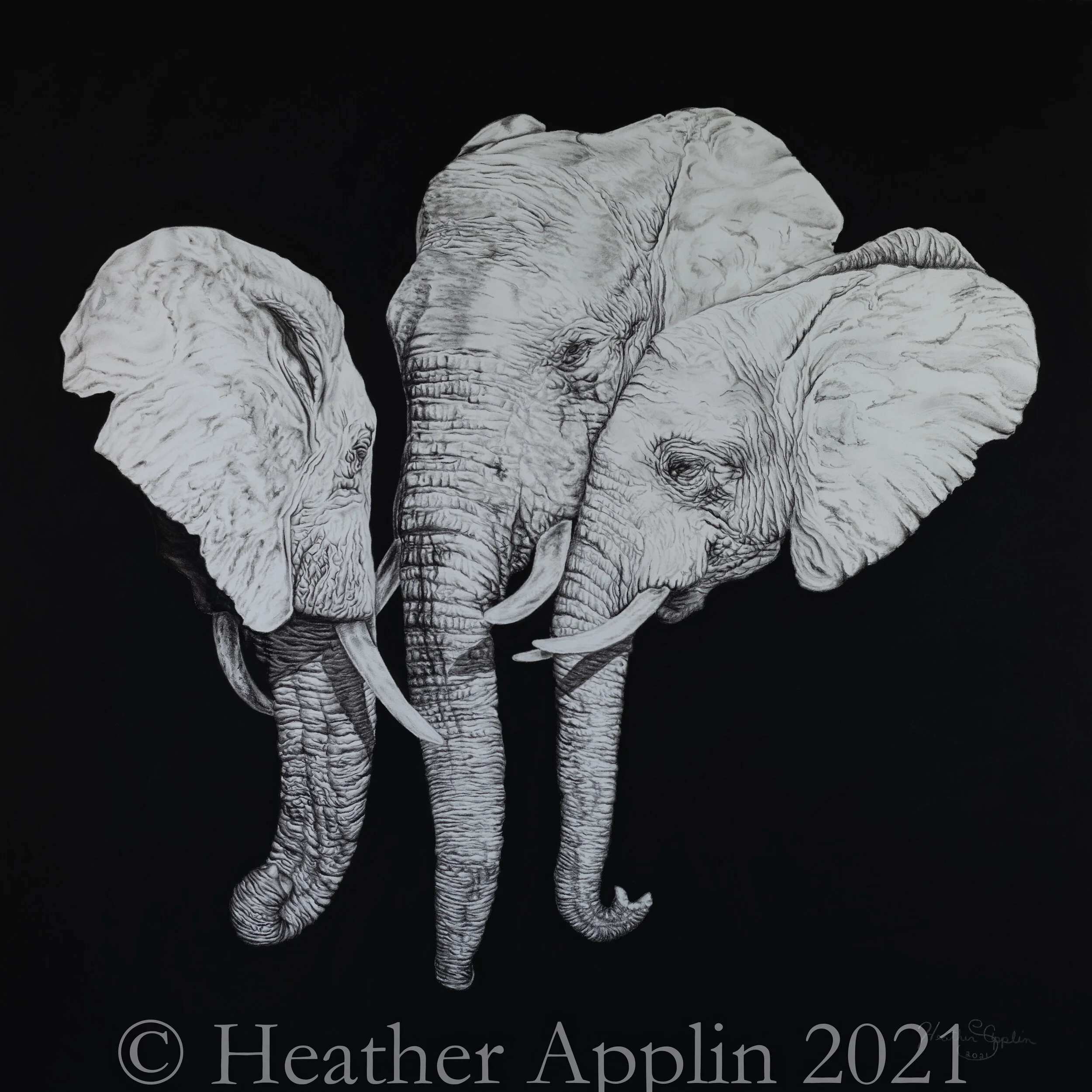 Elephant Trio-2.jpg