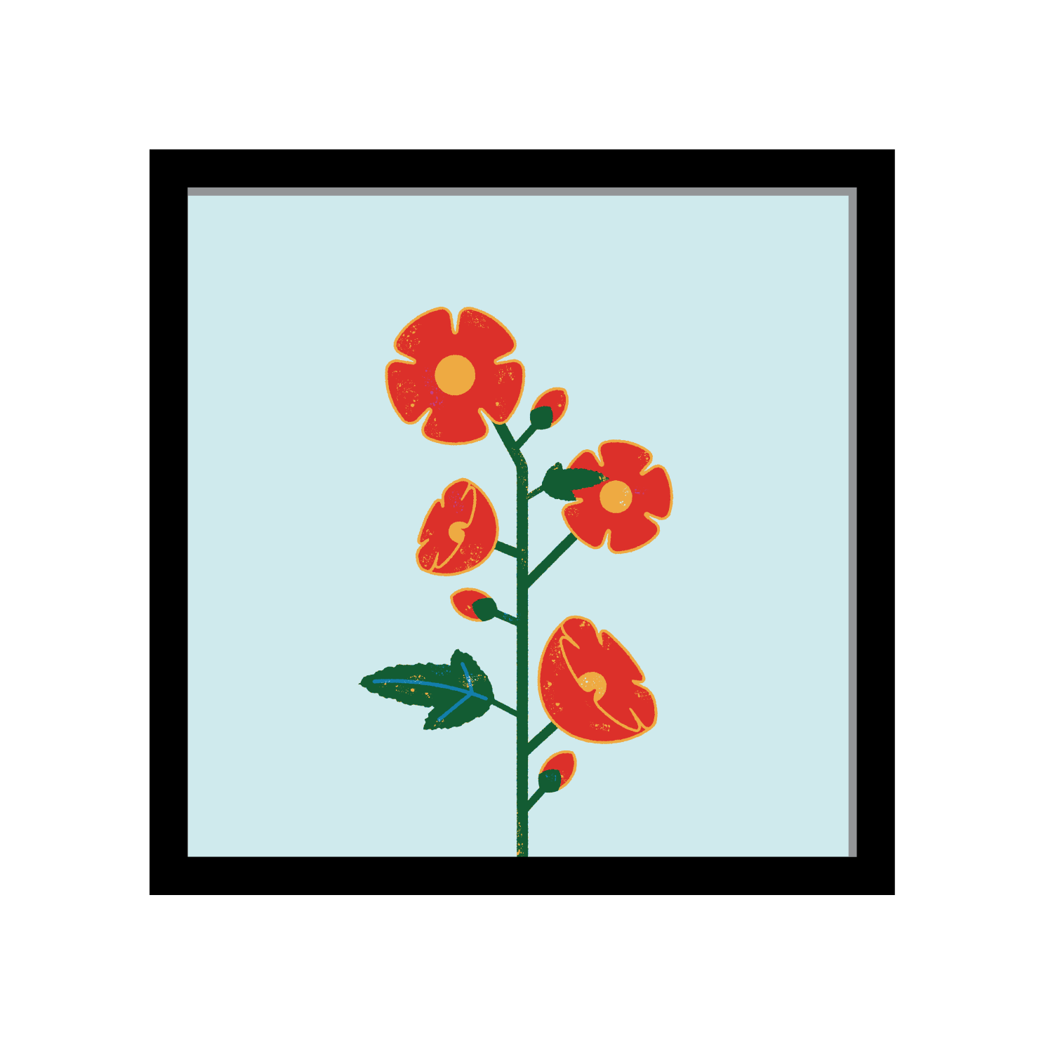 Globemallow