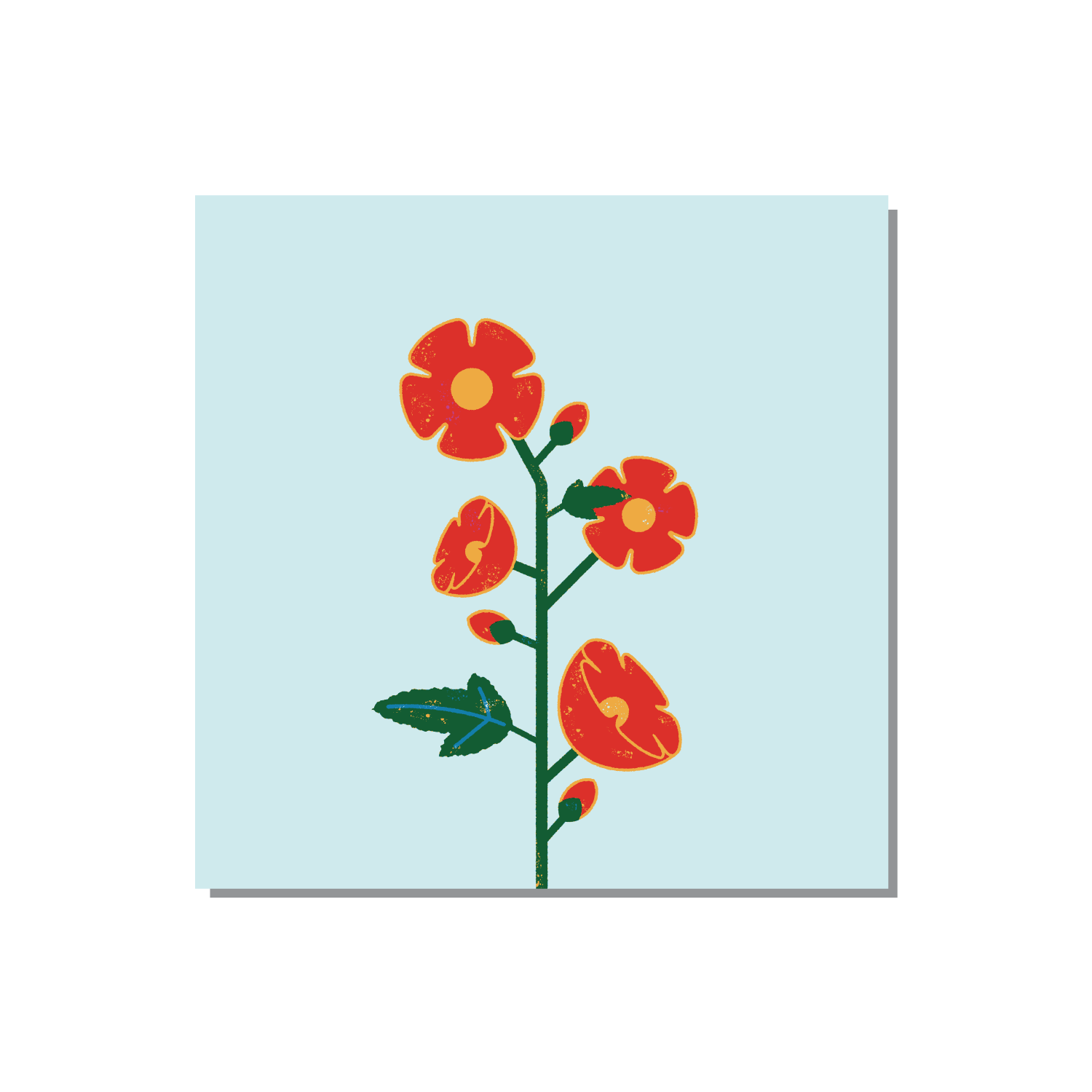 globemallow_mock.png