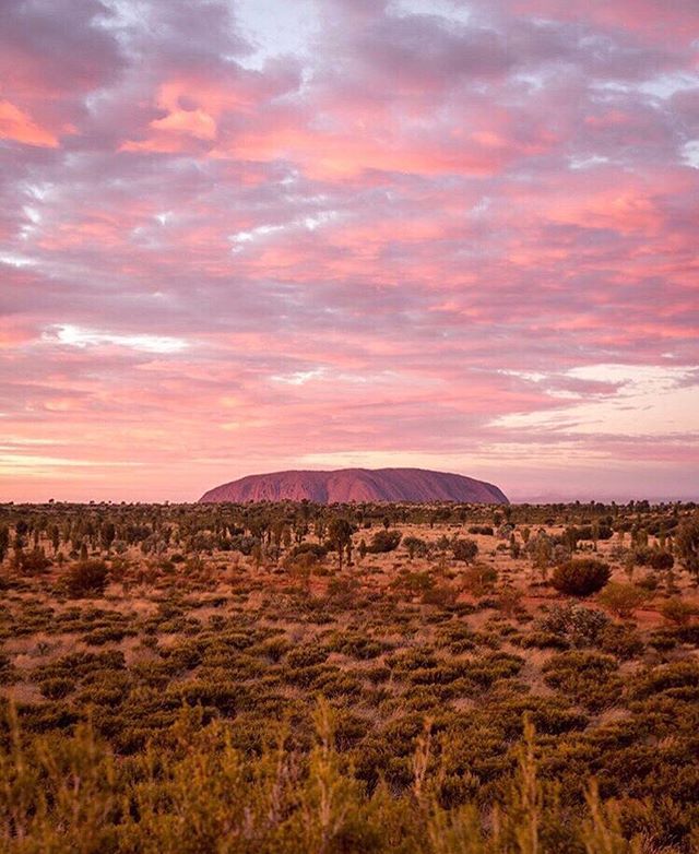 Where will you adventure this summer? 📷 by @erinoutdoors