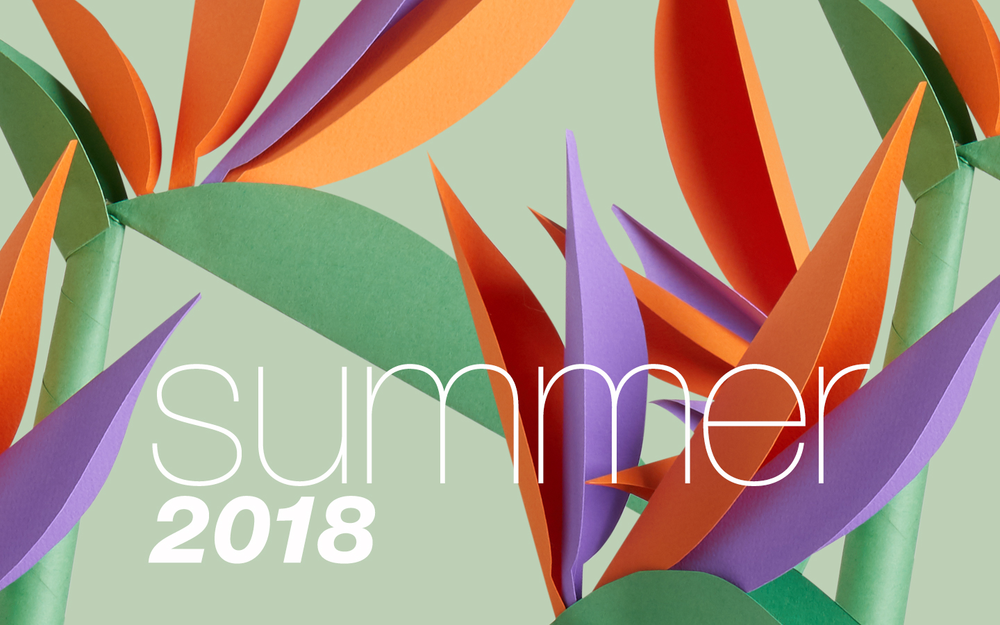 Overstock Summer 2018