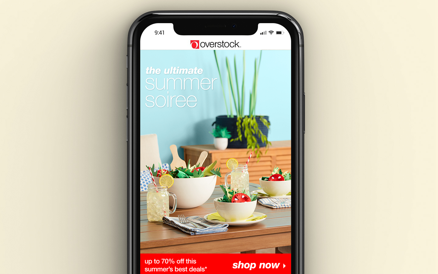 overstock p2.jpg