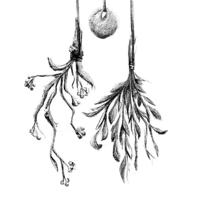 Witches cottage ...#inktober #driedflowers #inktober2019 #doodle #sketch #illustration #october #witchescottage