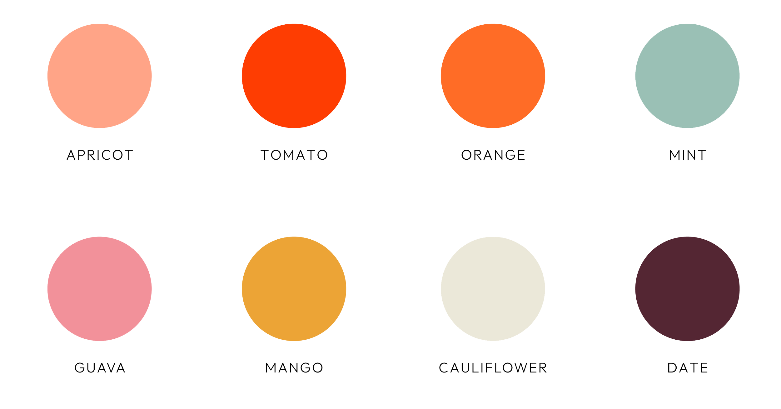 Color Palette