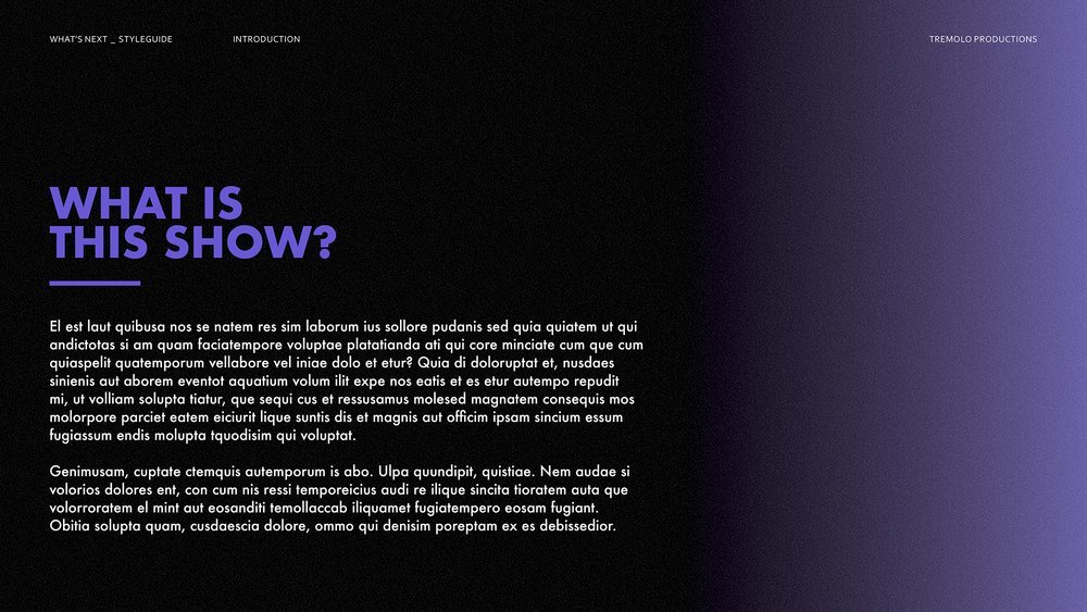 whats+next_style+guide_v22.jpg