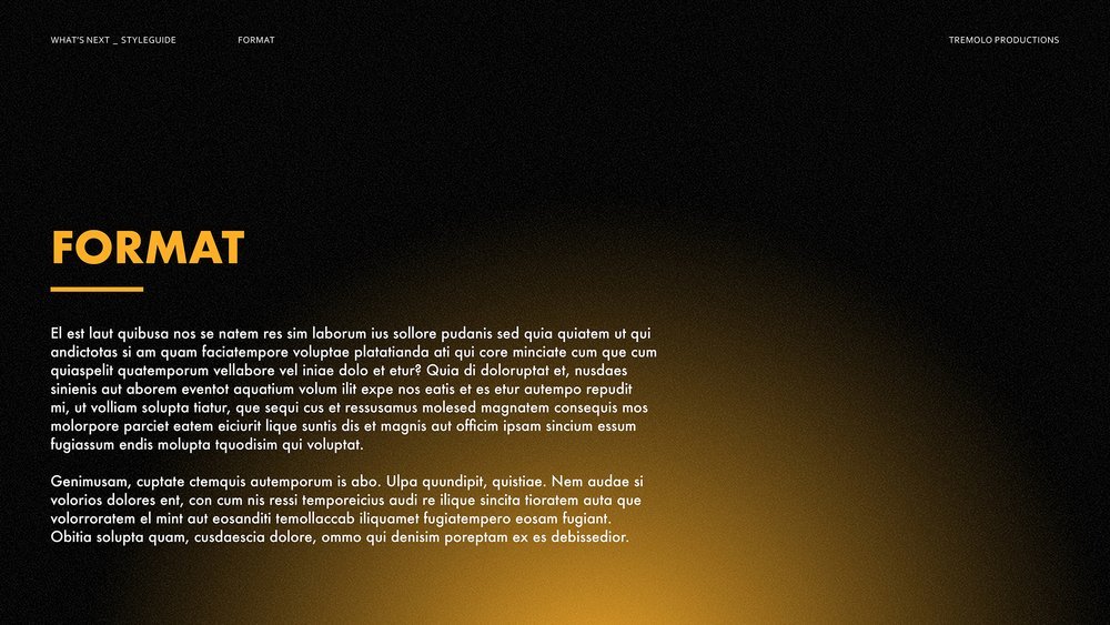whats+next_style+guide_v23.jpg