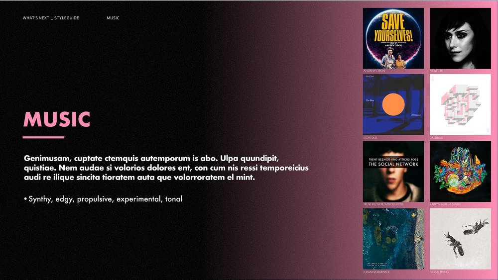 whats+next_style+guide_v212.jpg