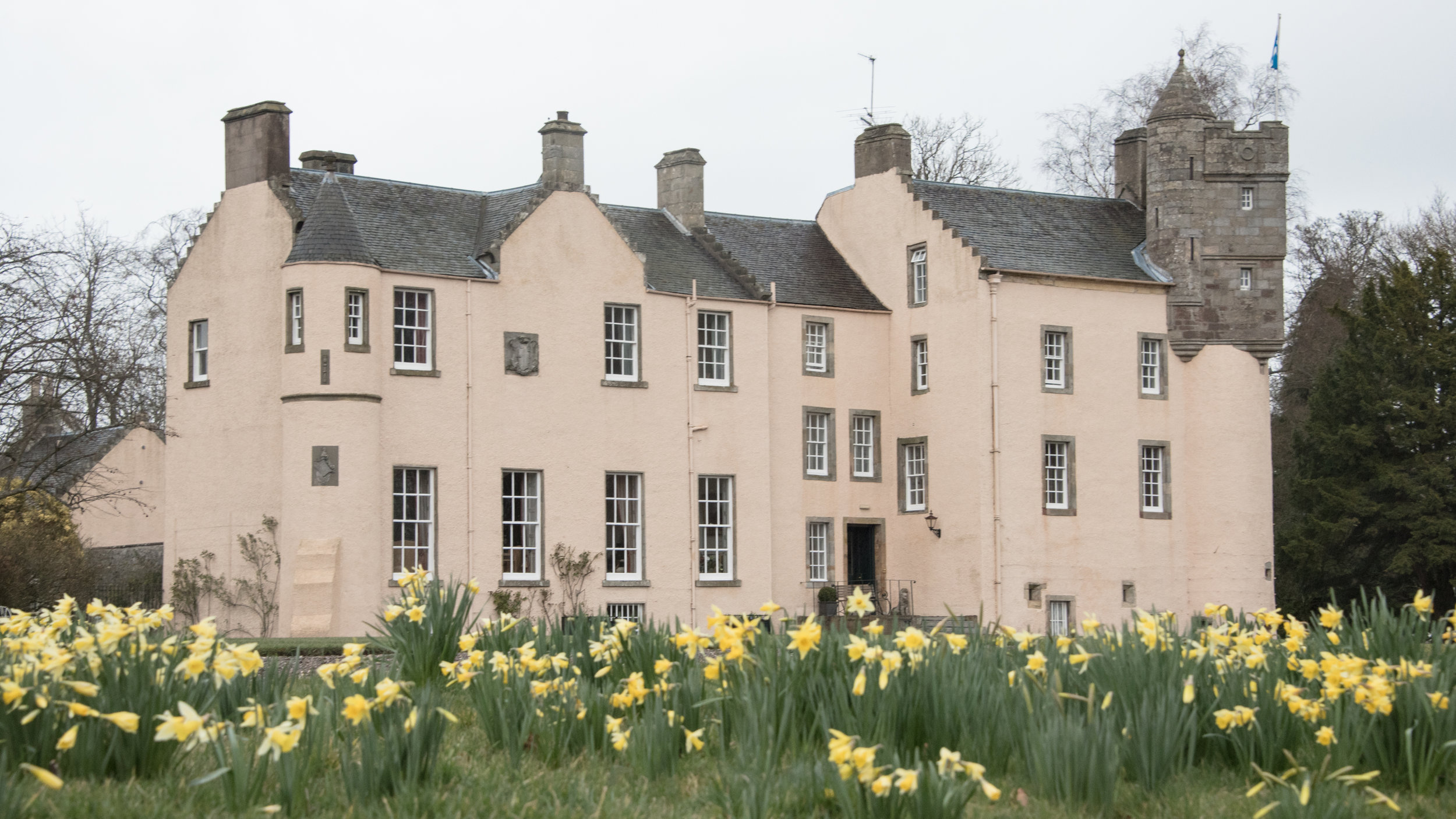 2016-04-02 SIONED AND NEIL FALKLAND MYRES CASTLE192727.jpg