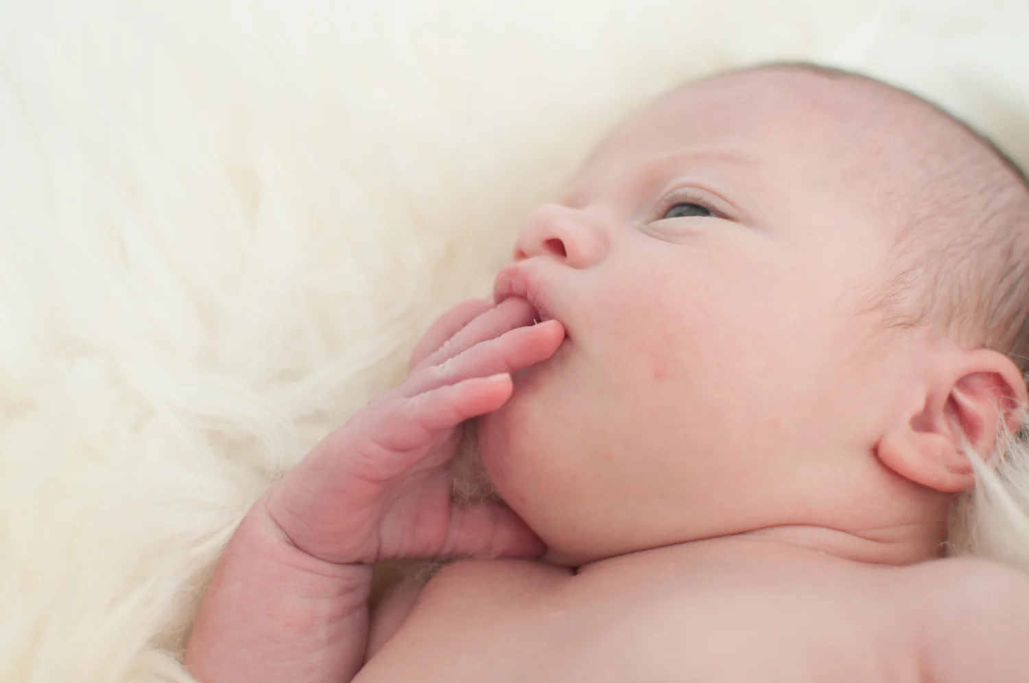 2015-10-17 BABY NAOMI110925.jpg