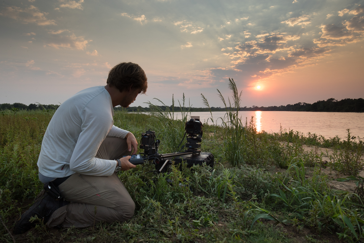 MC2_20160911_Brazil_NorthPantanal_BG_1DXmk2_01__28I4635.jpg