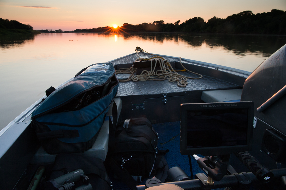 MC2_20160911_Brazil_NorthPantanal_BG_1DX_01__88P2509.jpg