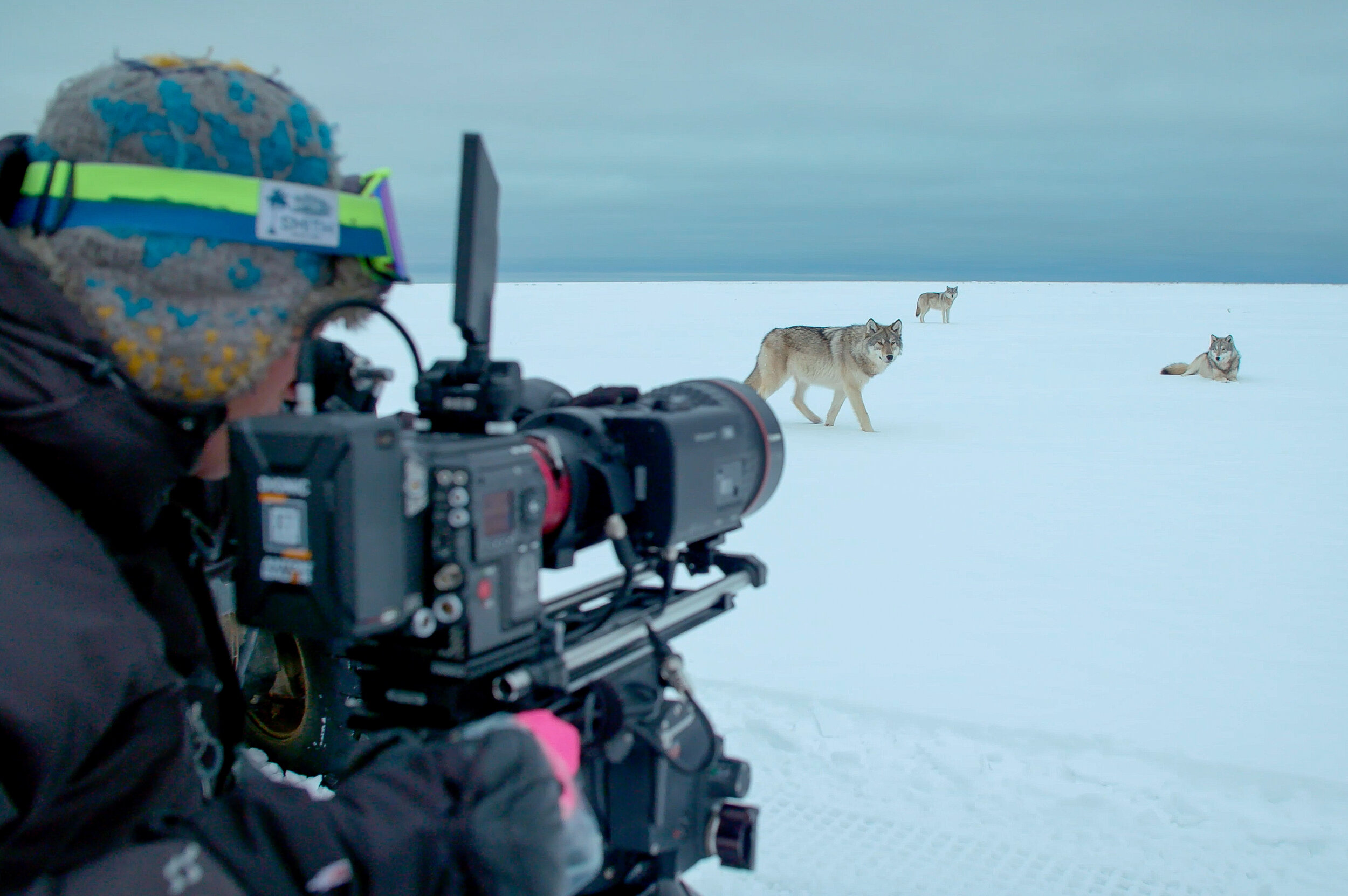 National Geographic Explorer And Award-Winning Filmmaker Bertie