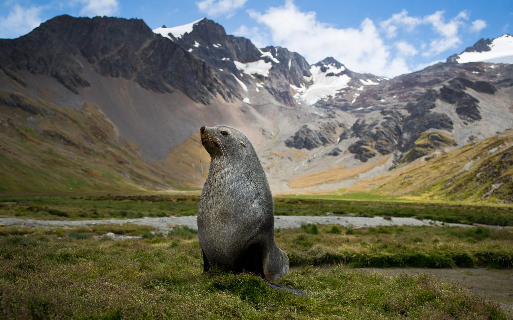 NatGeo_WLS2_BertieGregory_Press-164.jpg