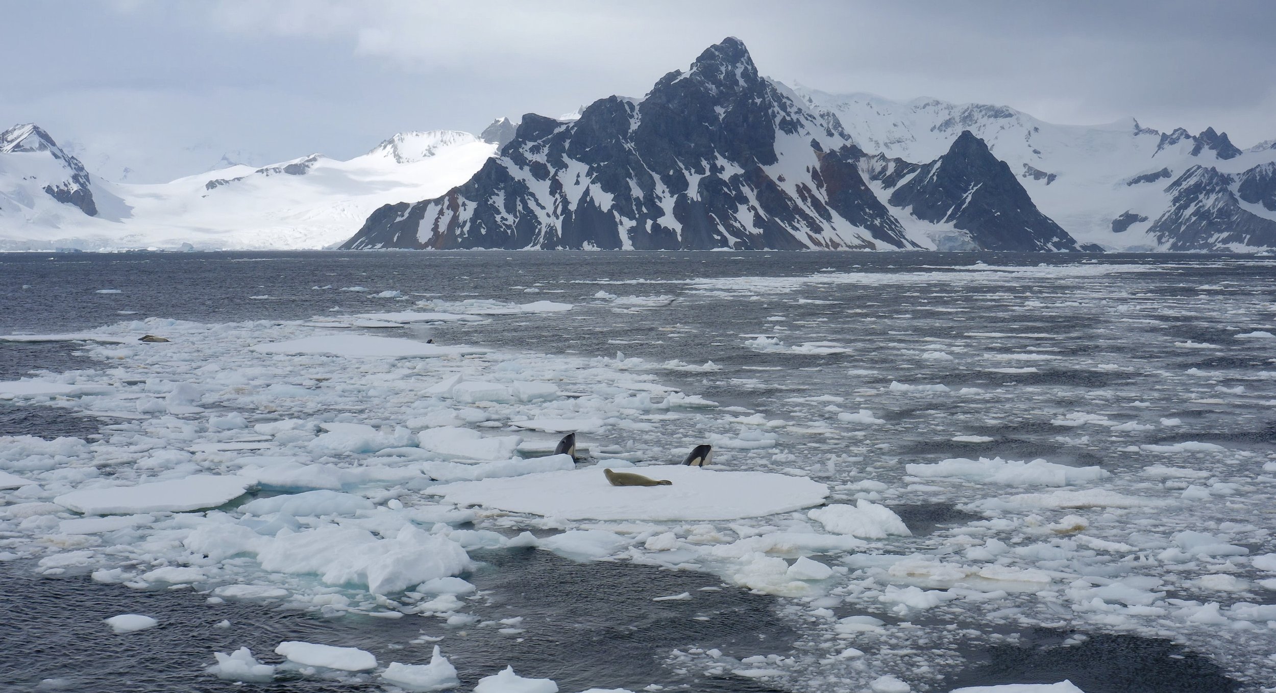 AntarcticKillerWaves_201_EpicAdventuresOfBertieGregory_22.jpg